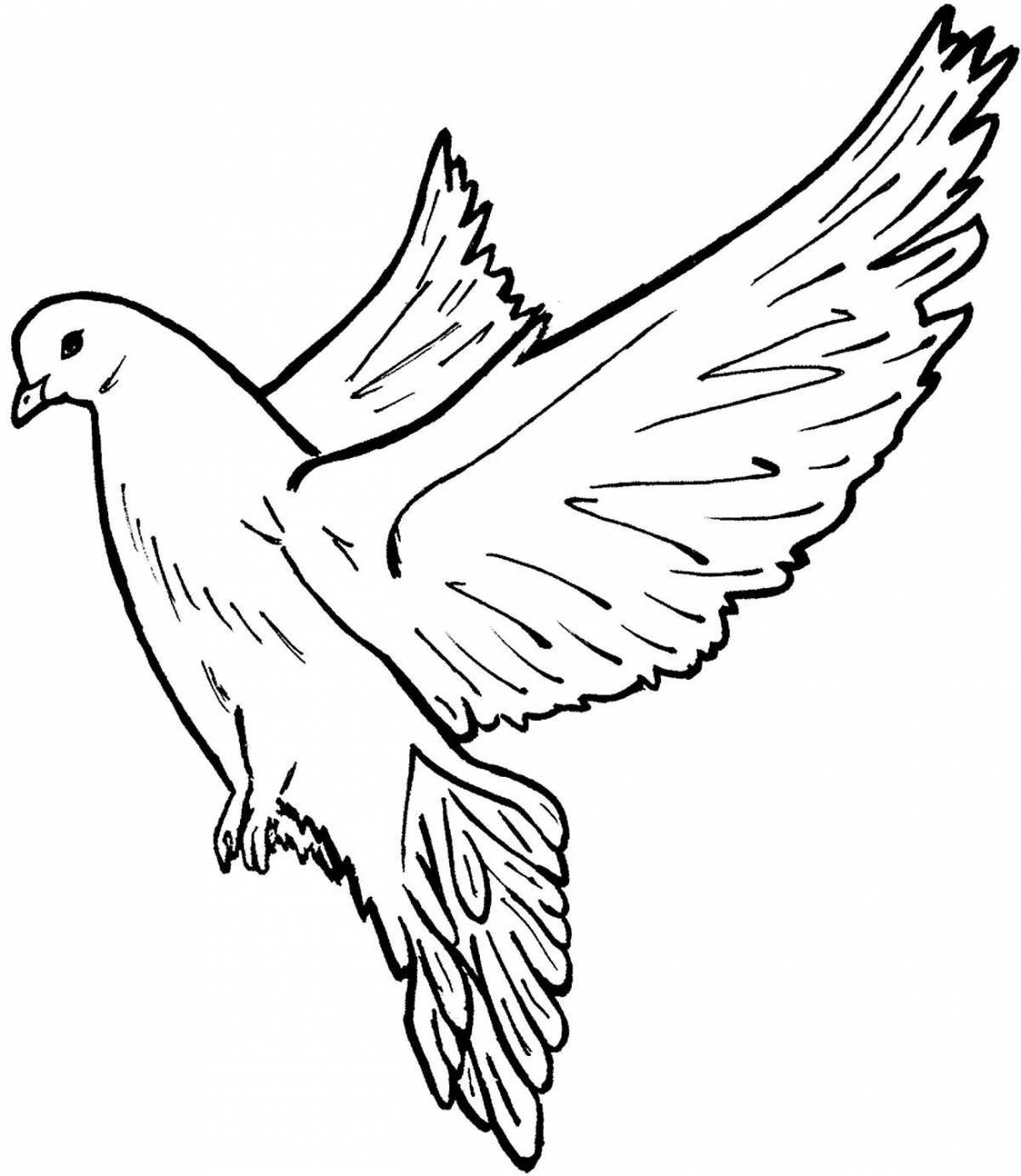 Coloring book fluttering white dove