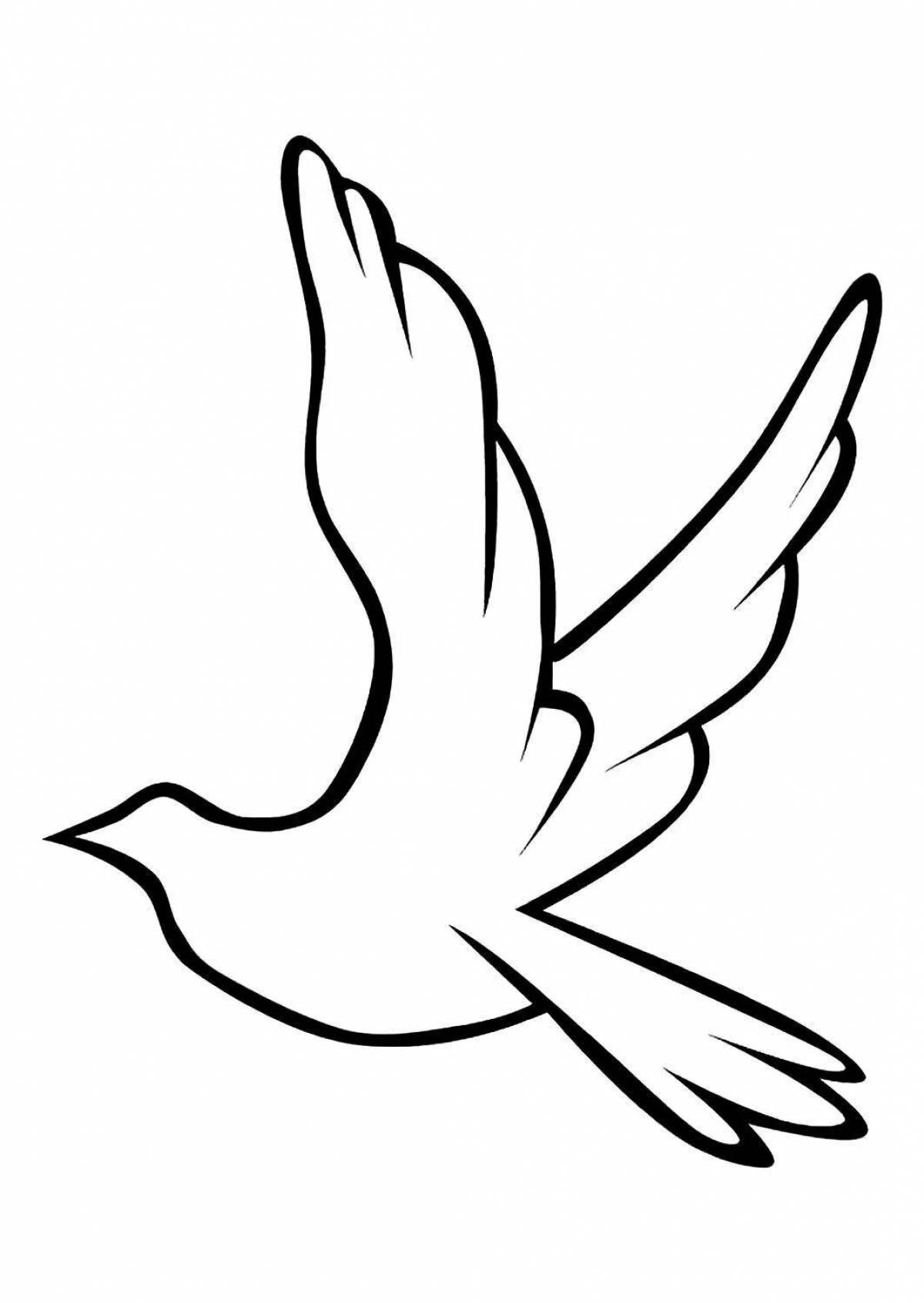 Coloring book fluffy white dove