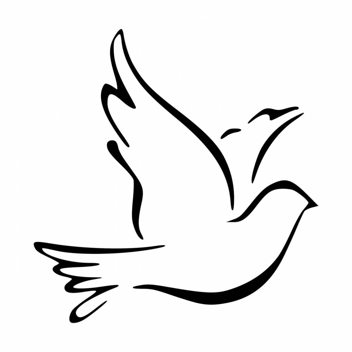 Coloring page adorable white dove