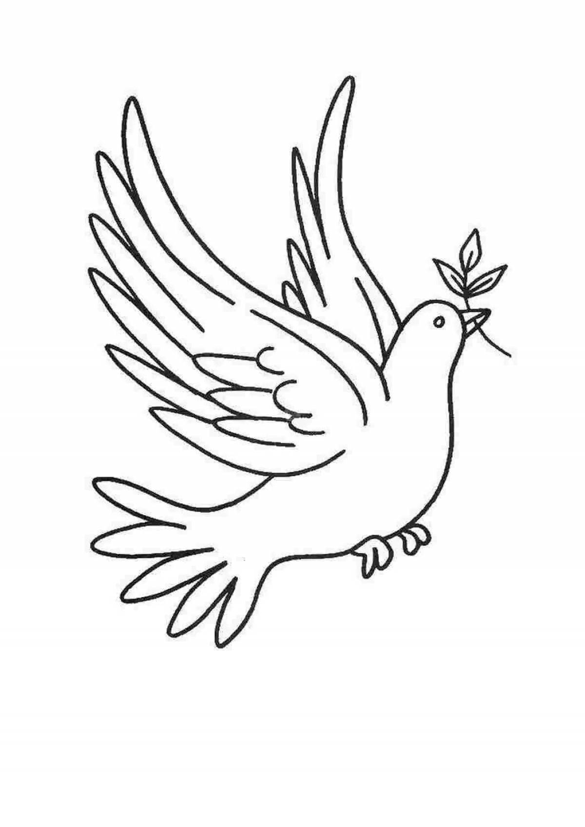 Coloring cute white dove