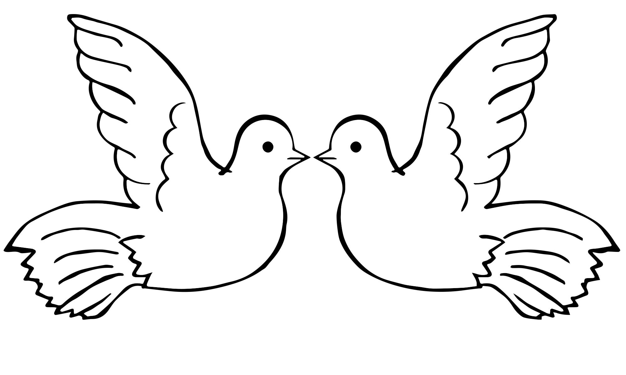Coloring page of a spectacular white dove