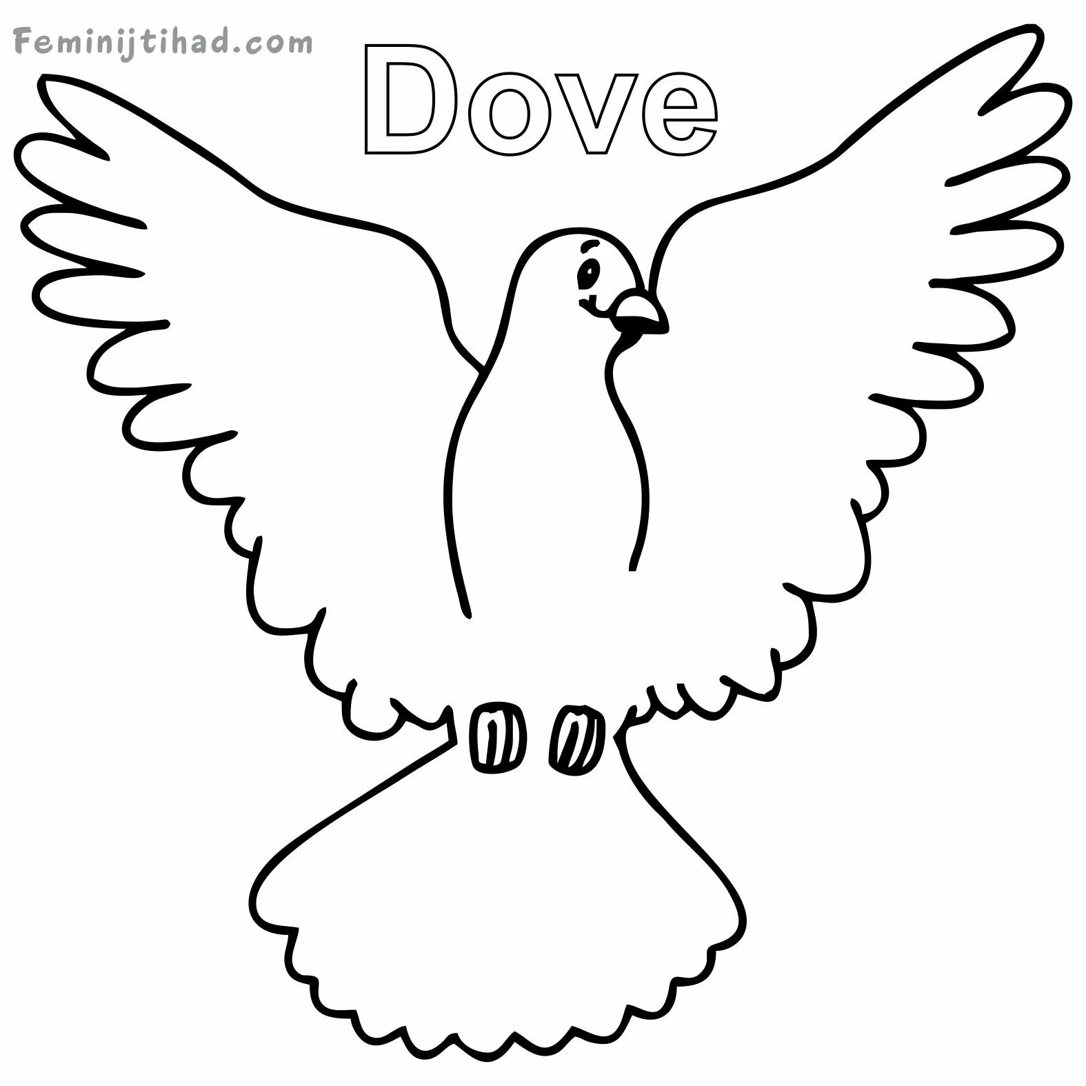 White dove #3