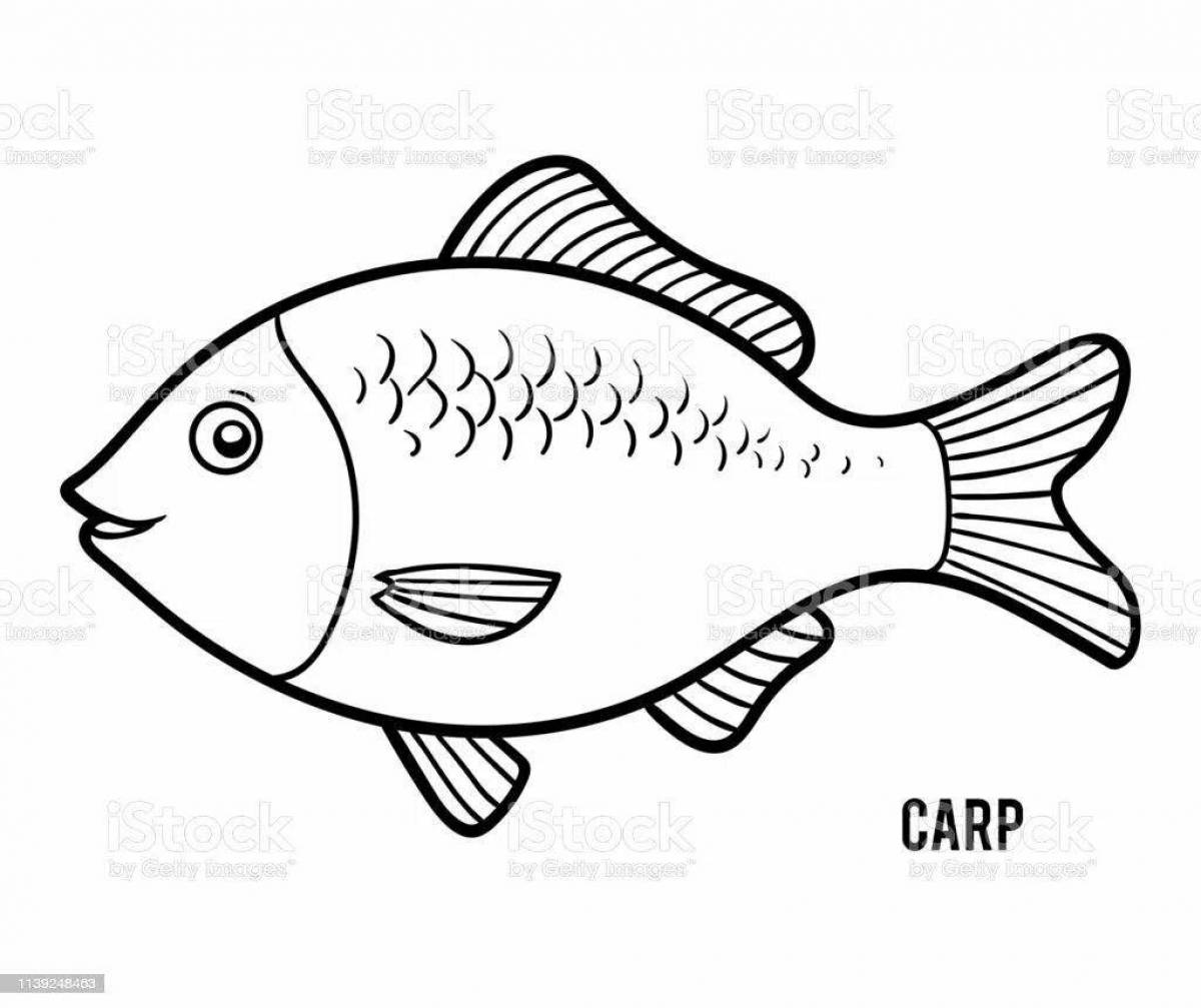 Amazing carp coloring book