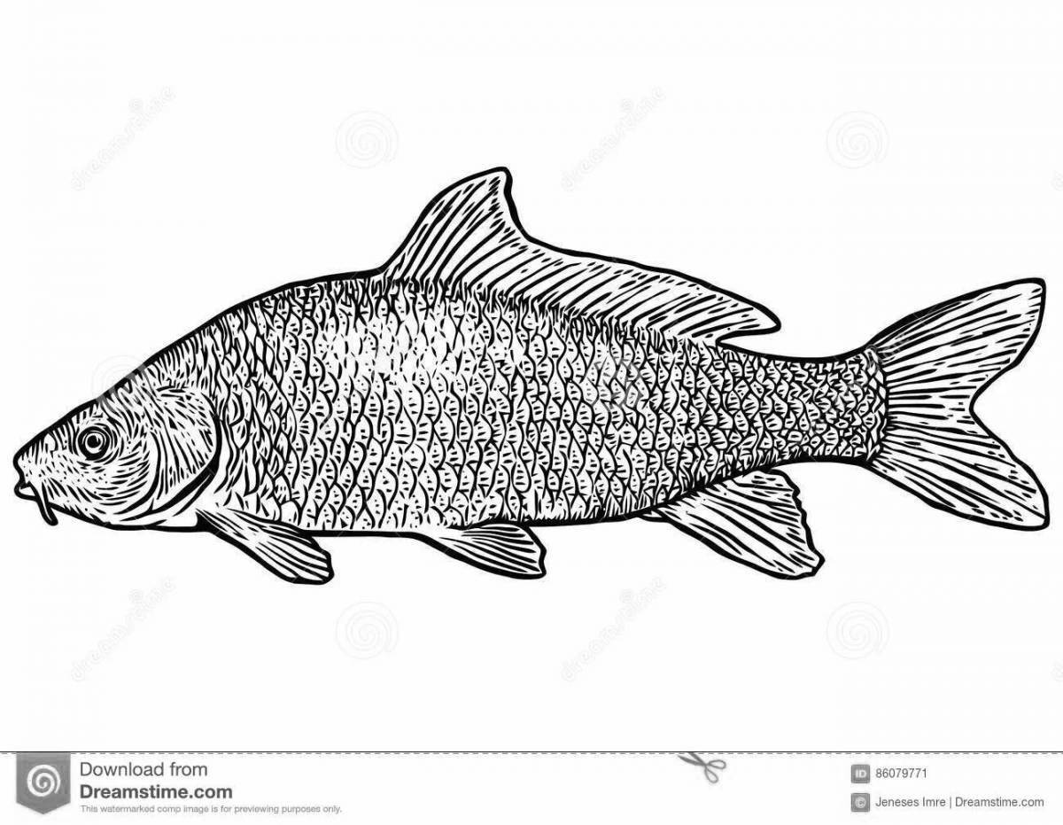 Восхитительная страница раскраски карась