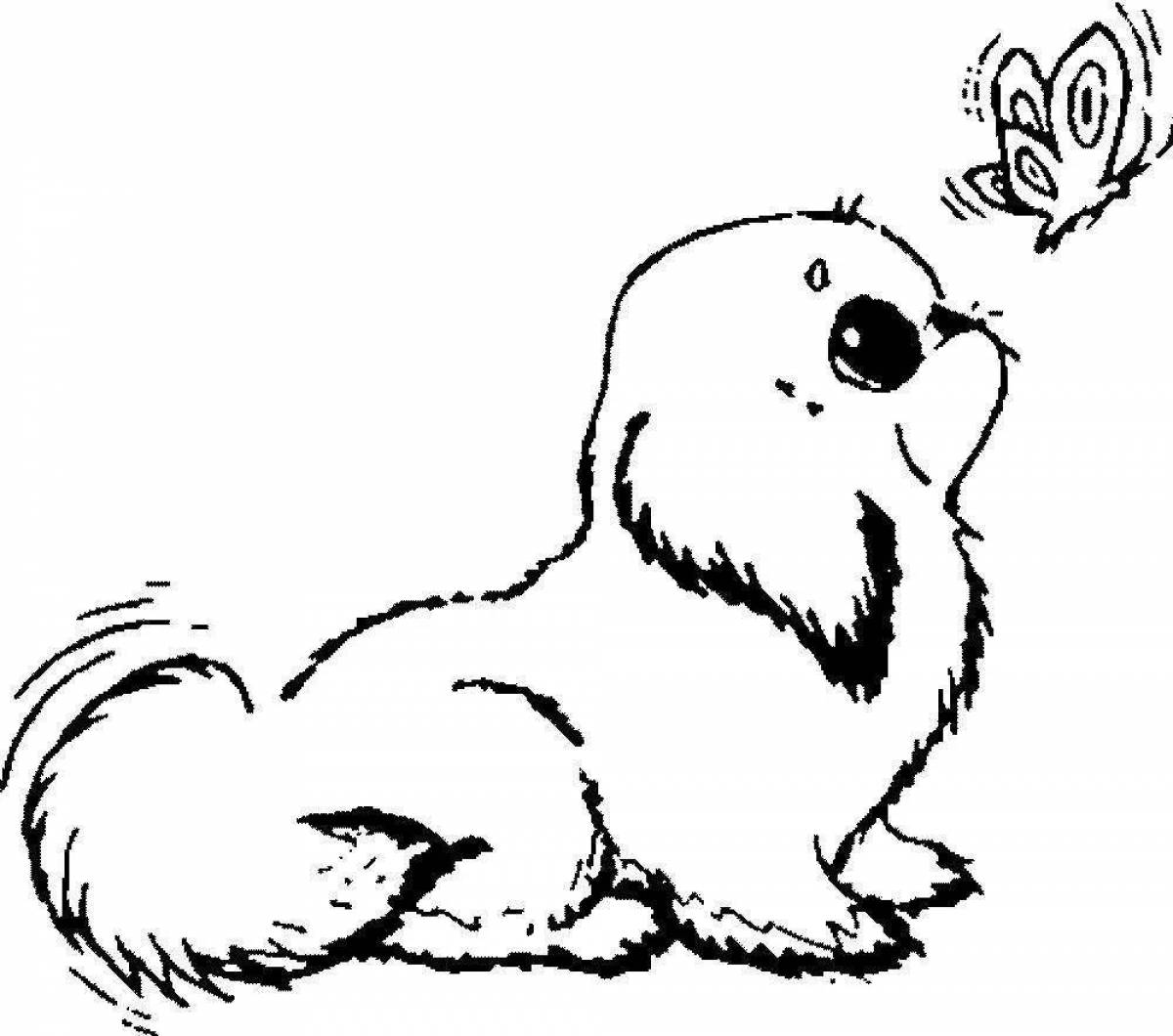 Curious cute dog coloring book