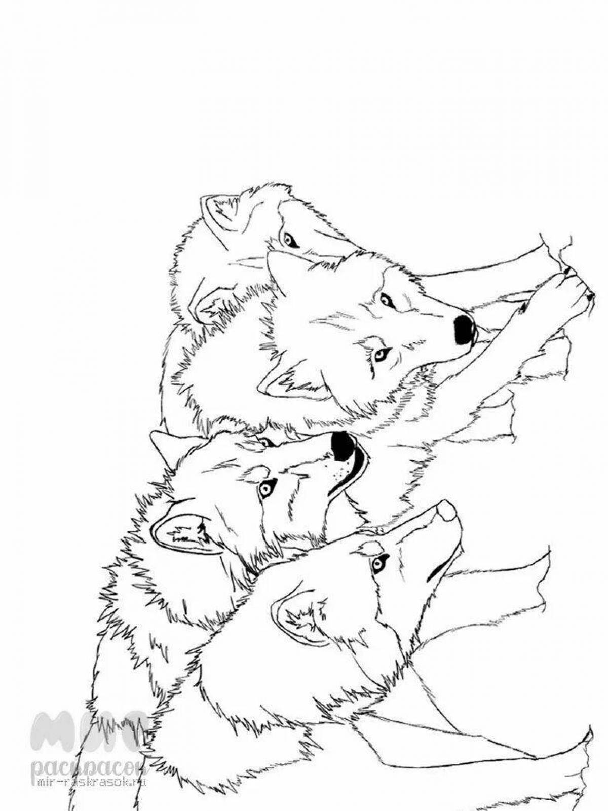 Intricate pack of wolves coloring book
