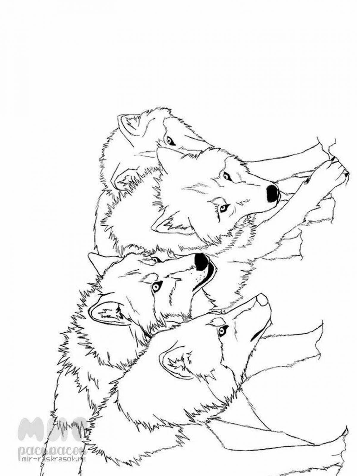 Photo Intricate pack of wolves coloring book