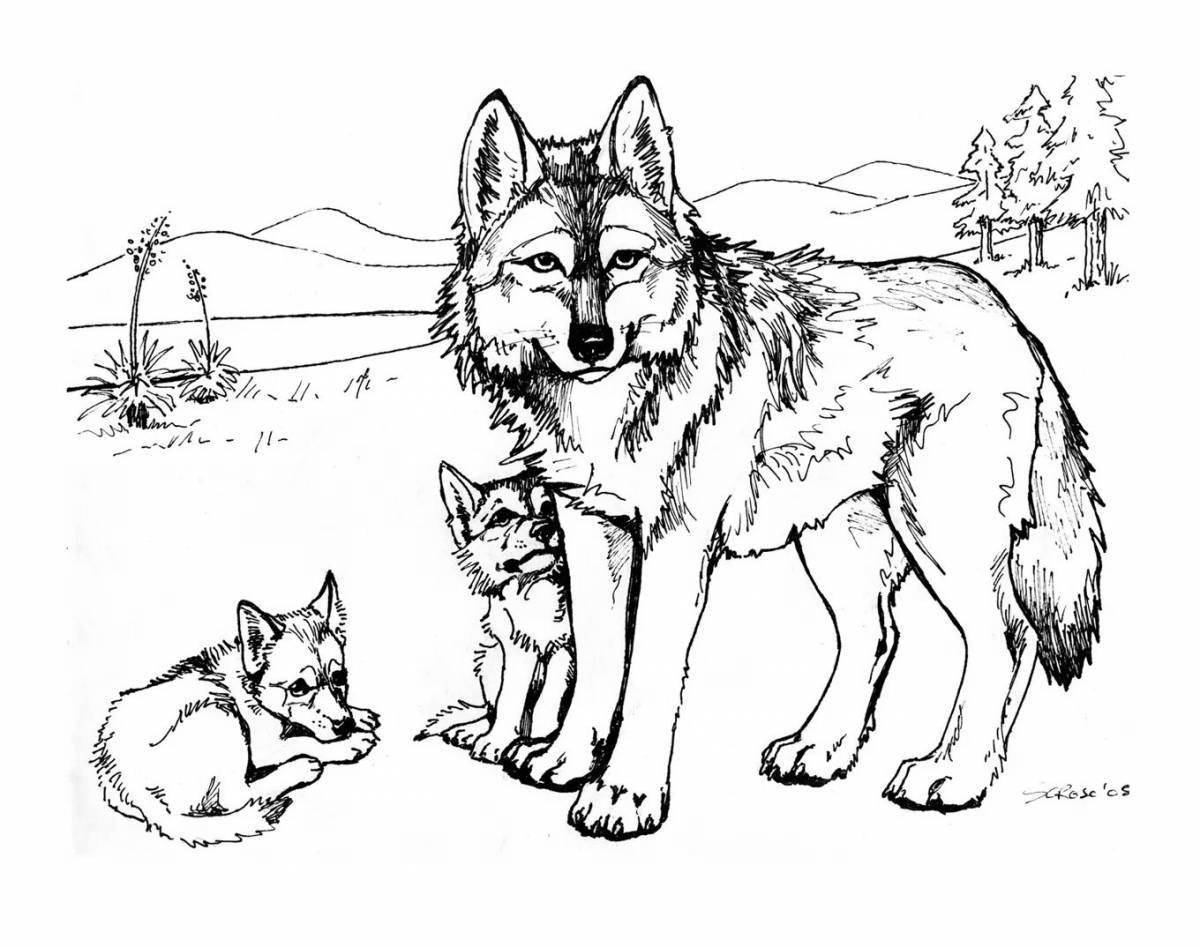 Coloring book royal pack of wolves