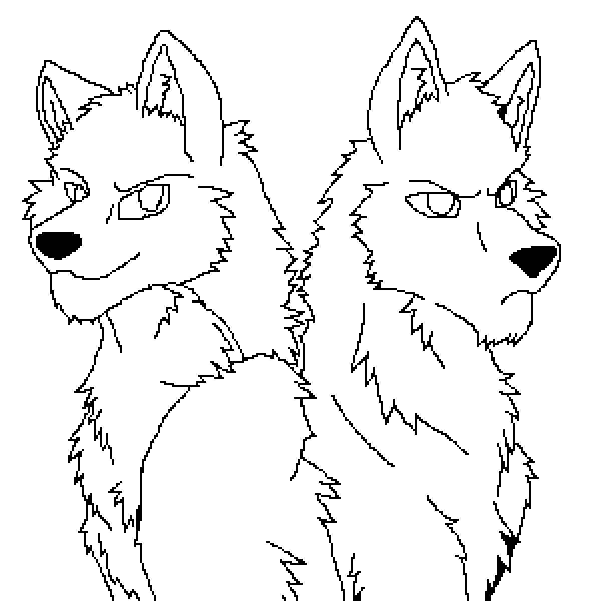 Coloring book noble pack of wolves