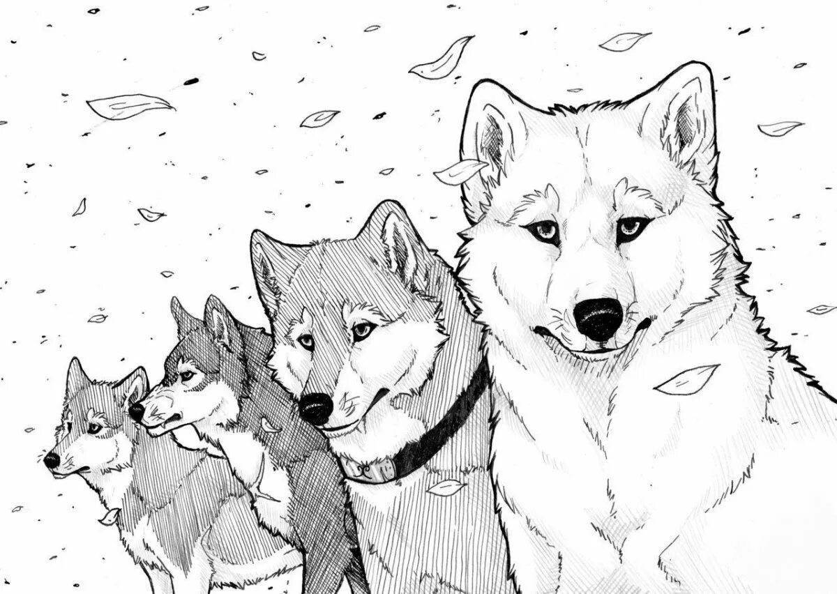 Colorful pack of wolves coloring book