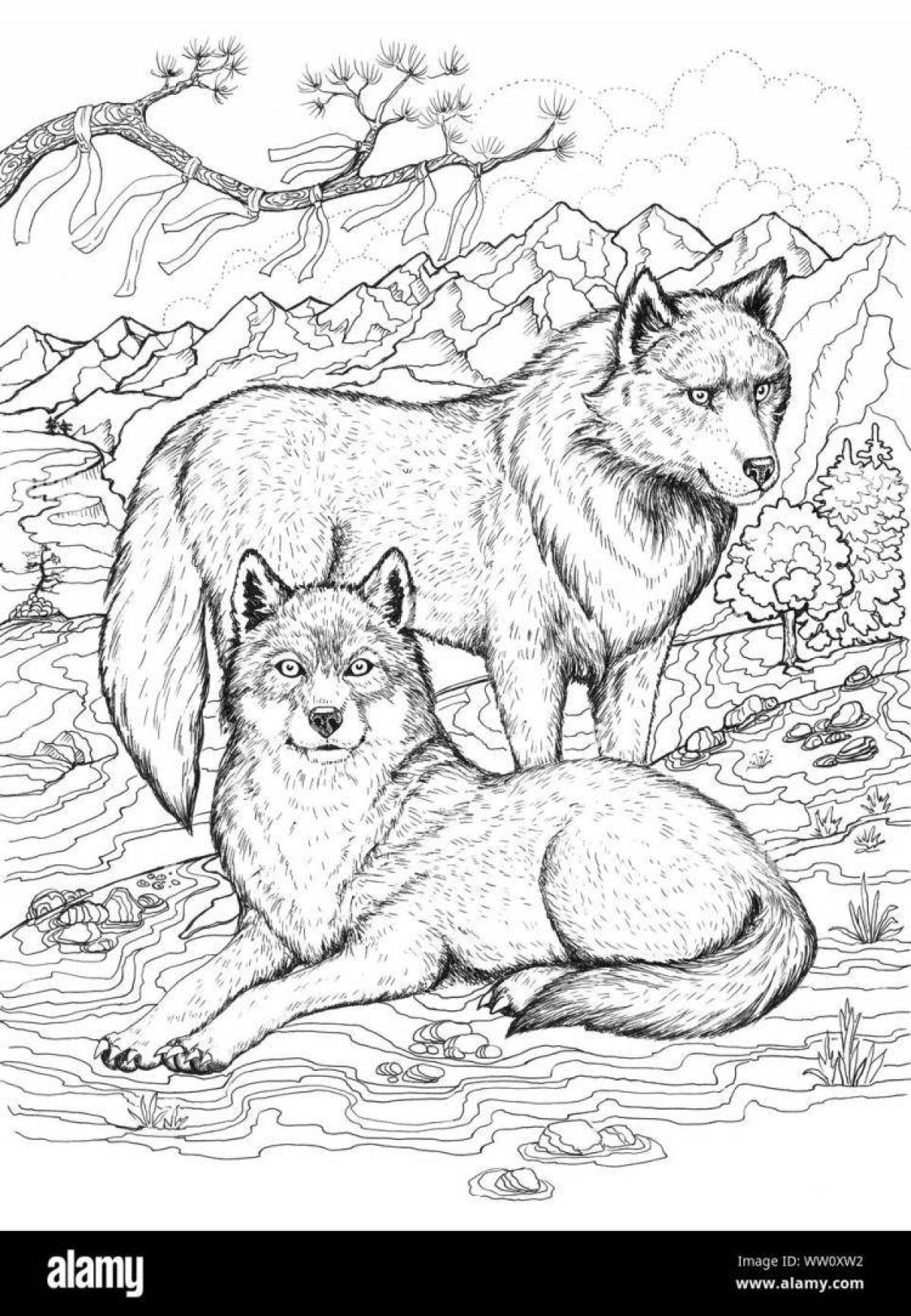 Coloring page amazing pack of wolves
