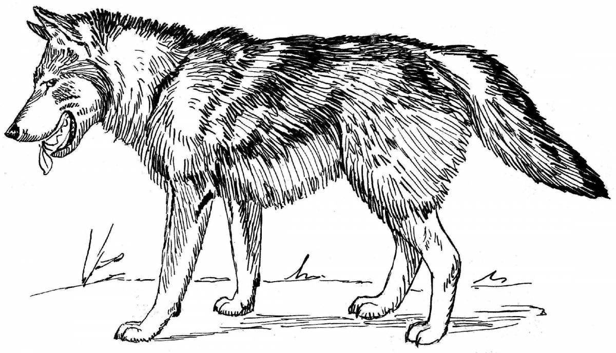 Photo Coloring page nice pack of wolves