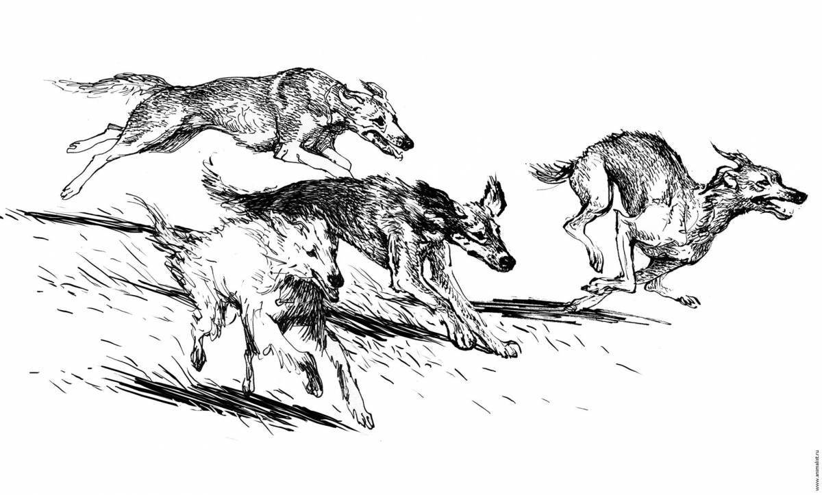 Photo Coloring book exquisite pack of wolves