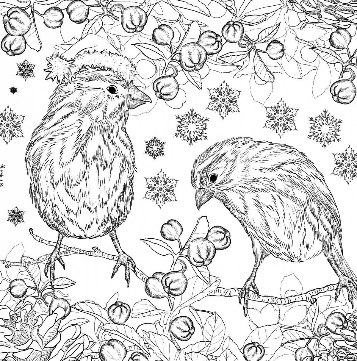Colorful christmas bird coloring page