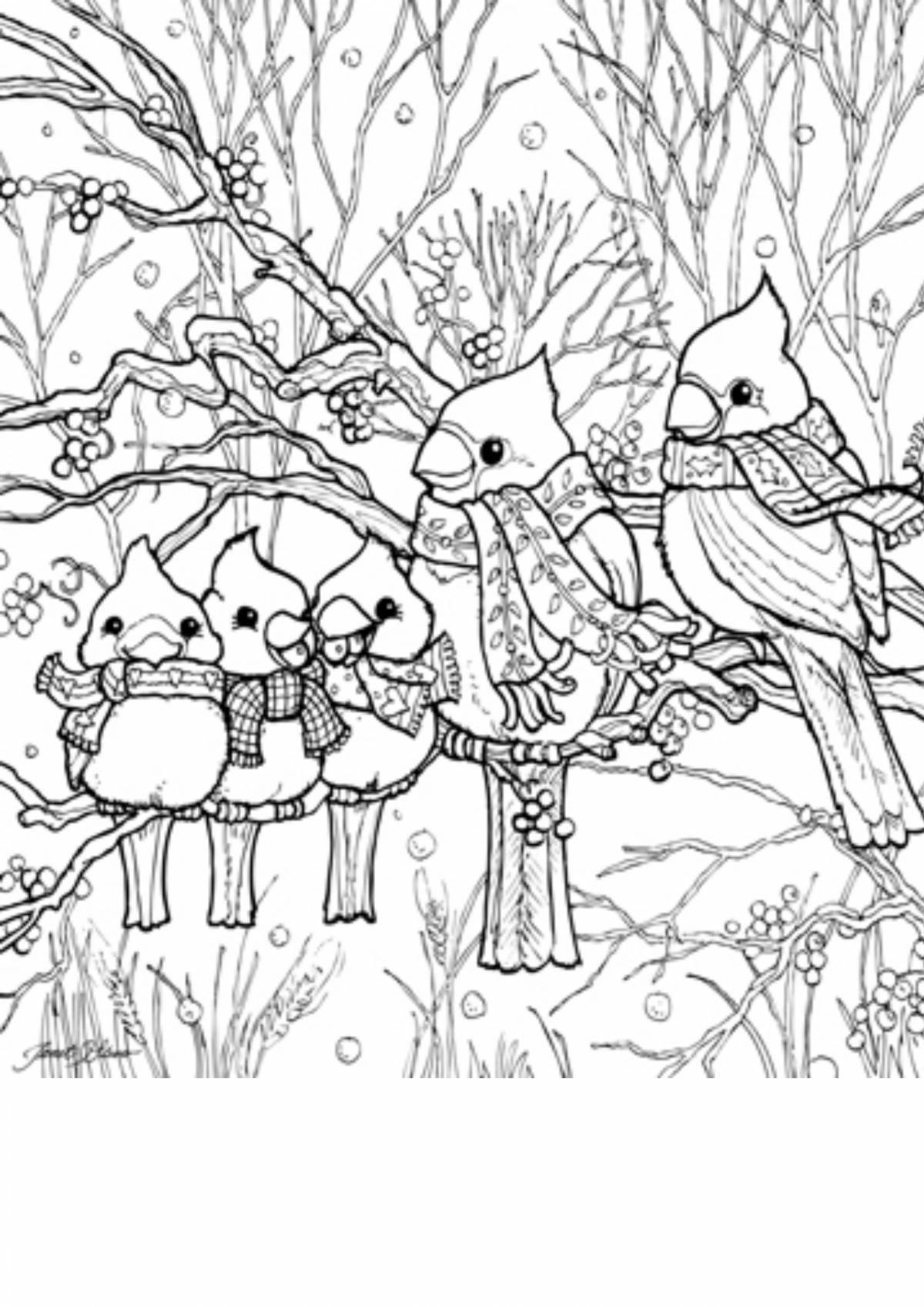 Adorable Christmas bird coloring book