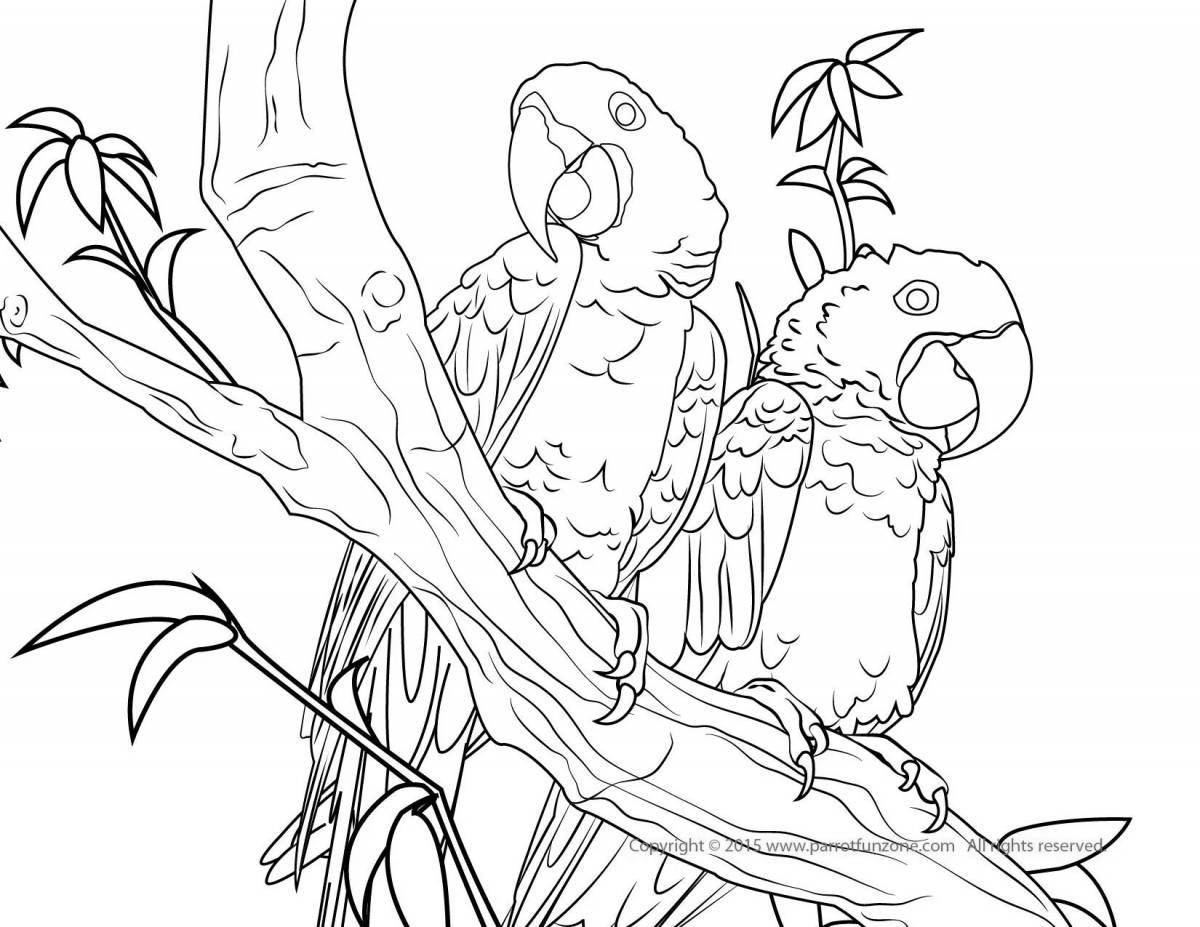 Majestic blue macaw coloring page