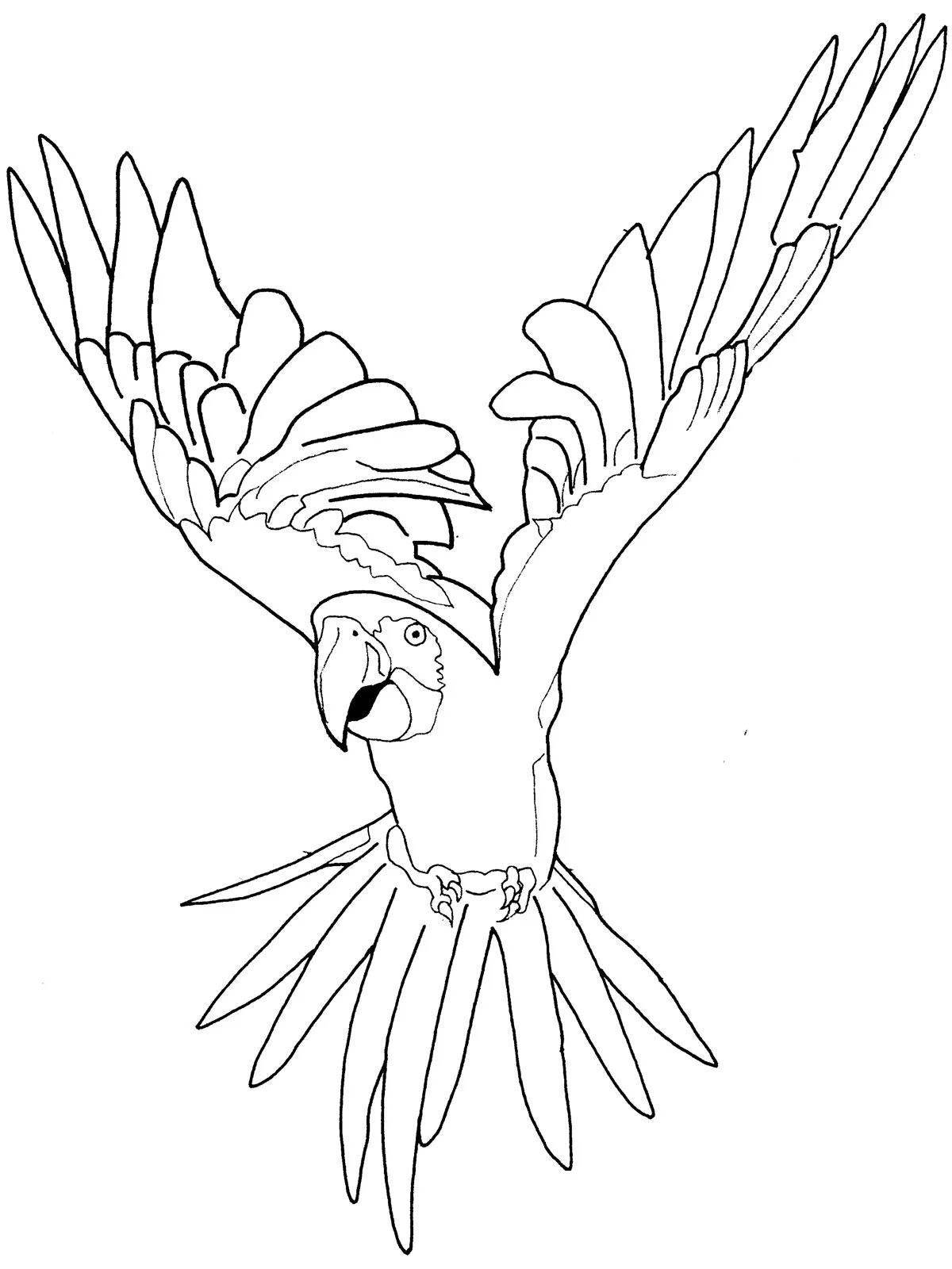 Coloring book bright blue macaw