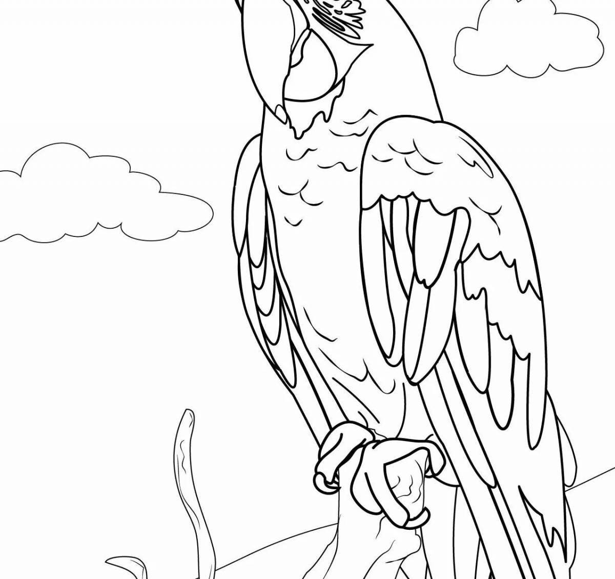 Attractive blue macaw coloring