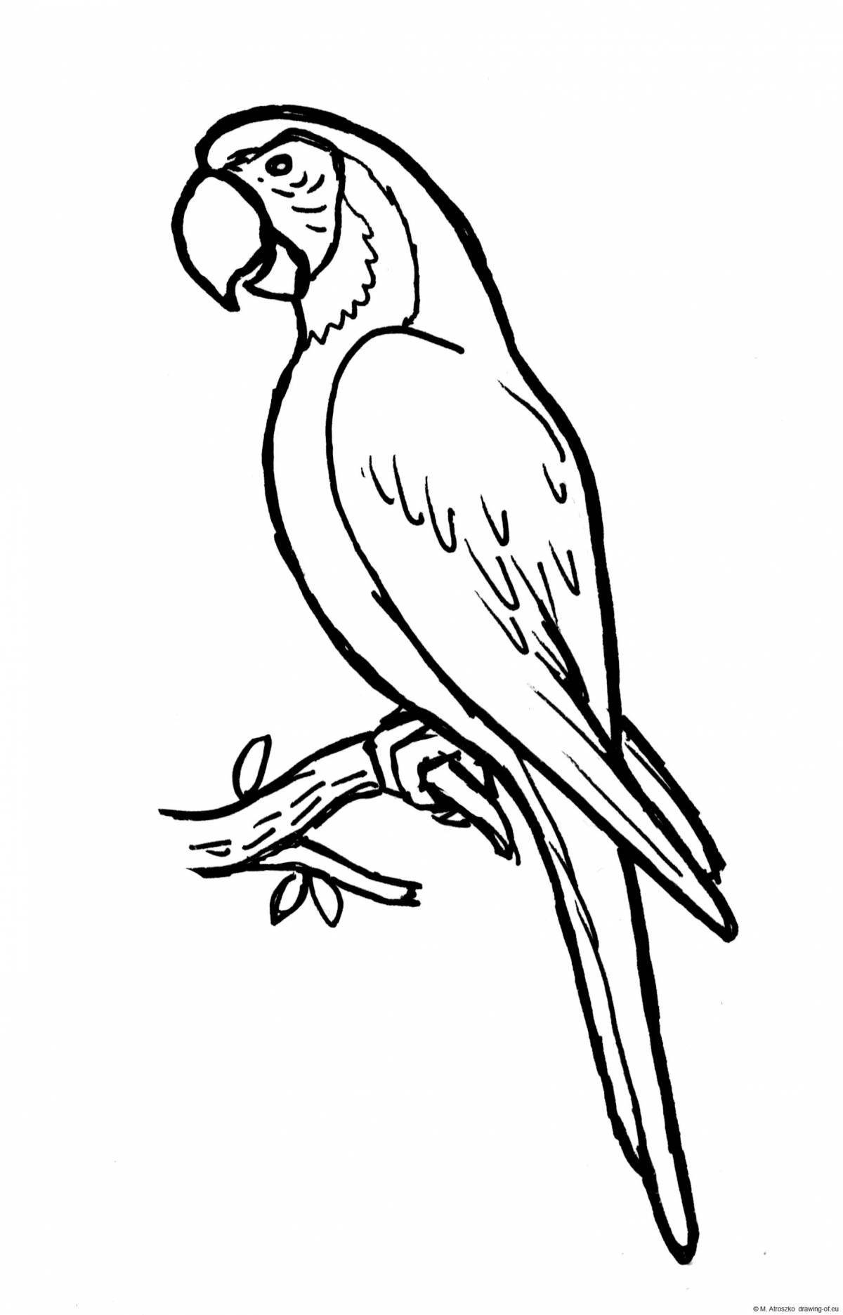 Brilliantly pigmented blue macaw coloring page