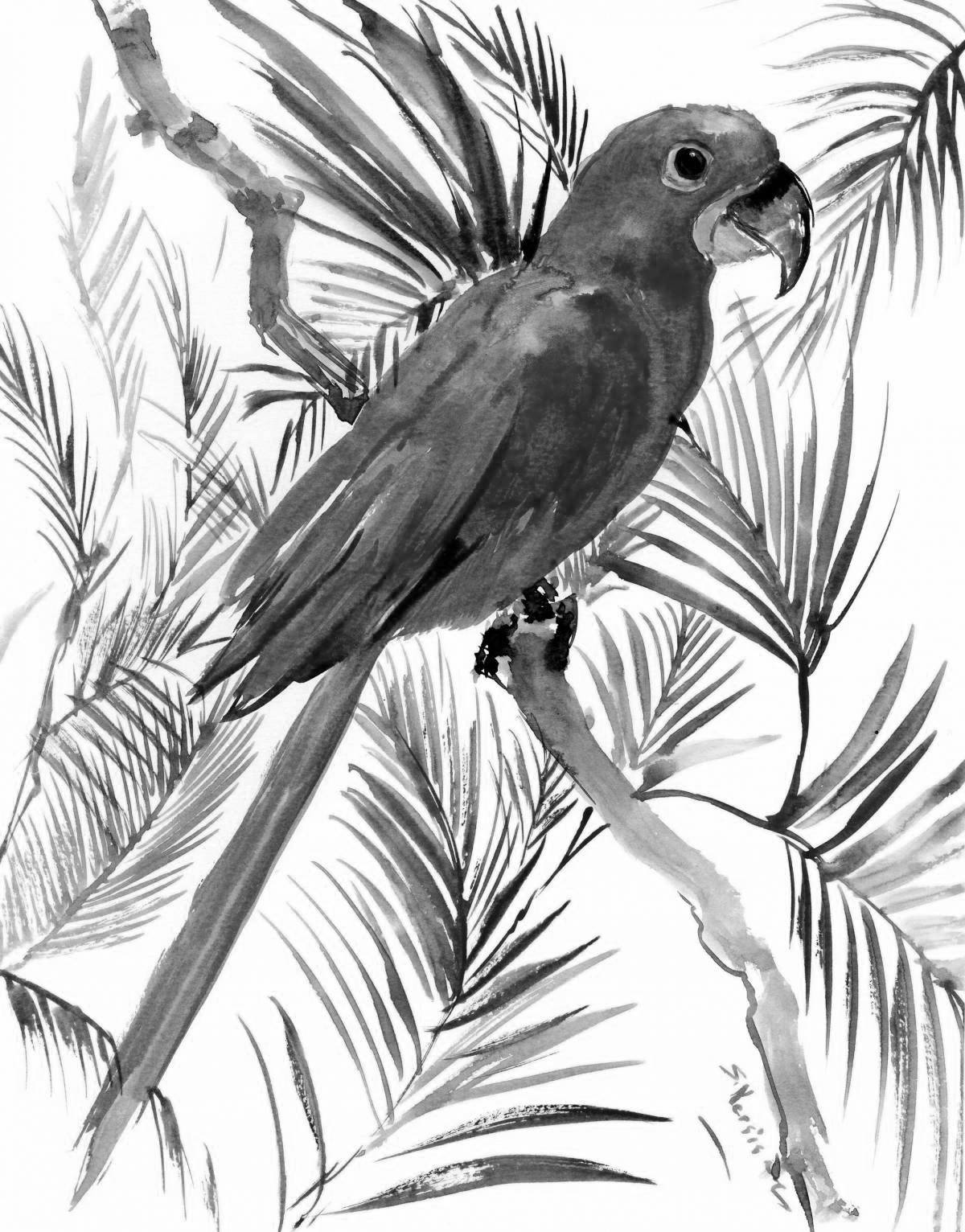 Brilliantly toned blue macaw coloring page