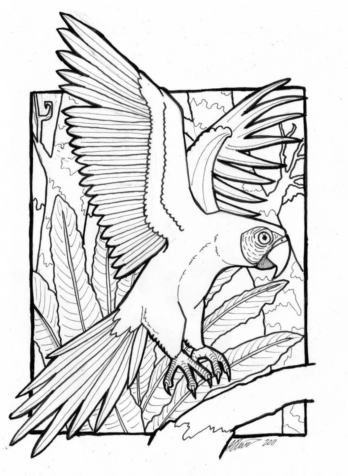 Highlighted blue macaw coloring page