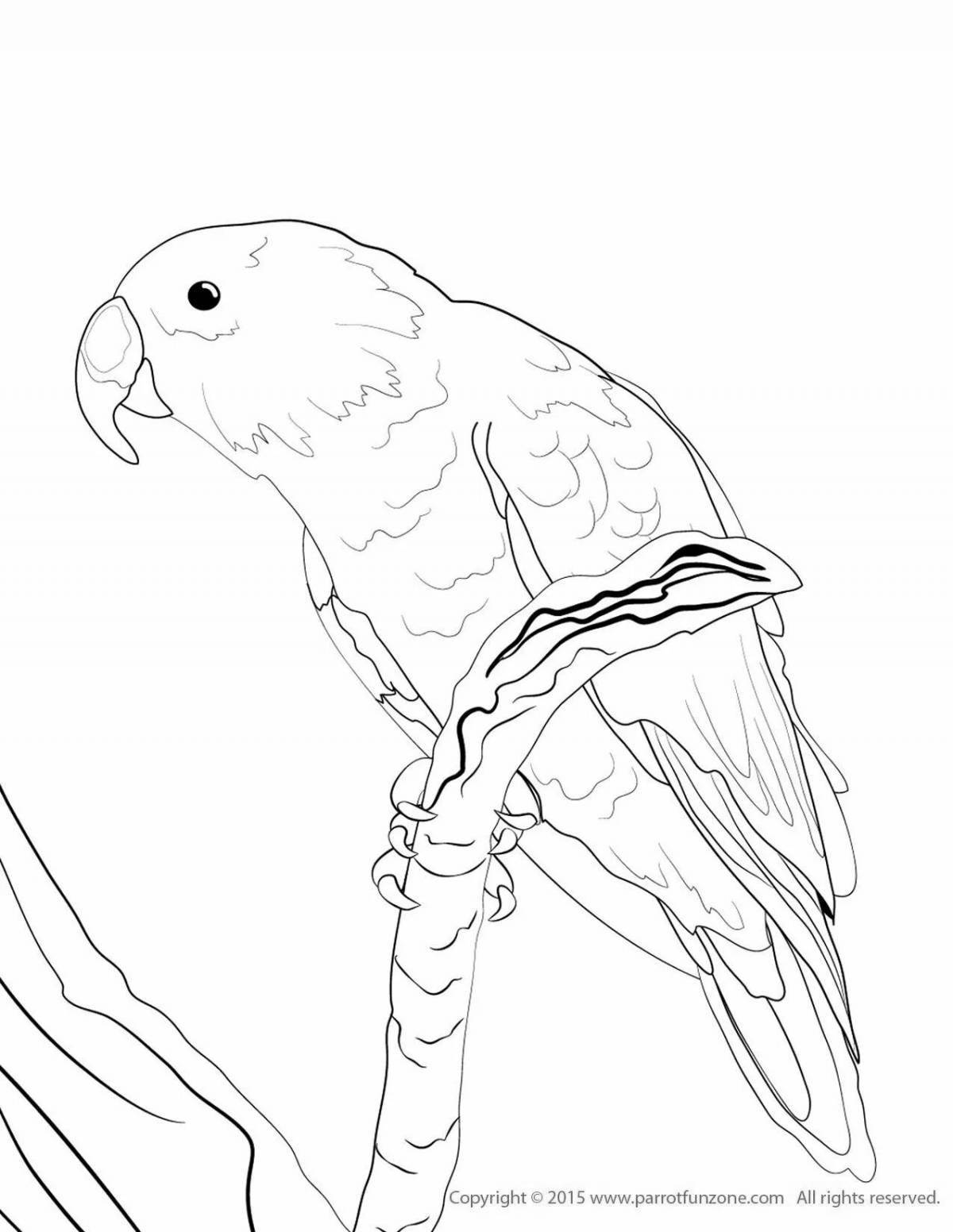 Sparkly decorated blue macaw coloring page