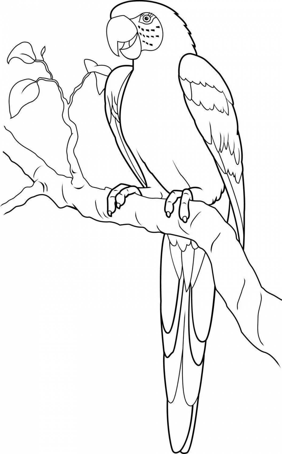 Brilliantly exquisite blue macaw coloring page