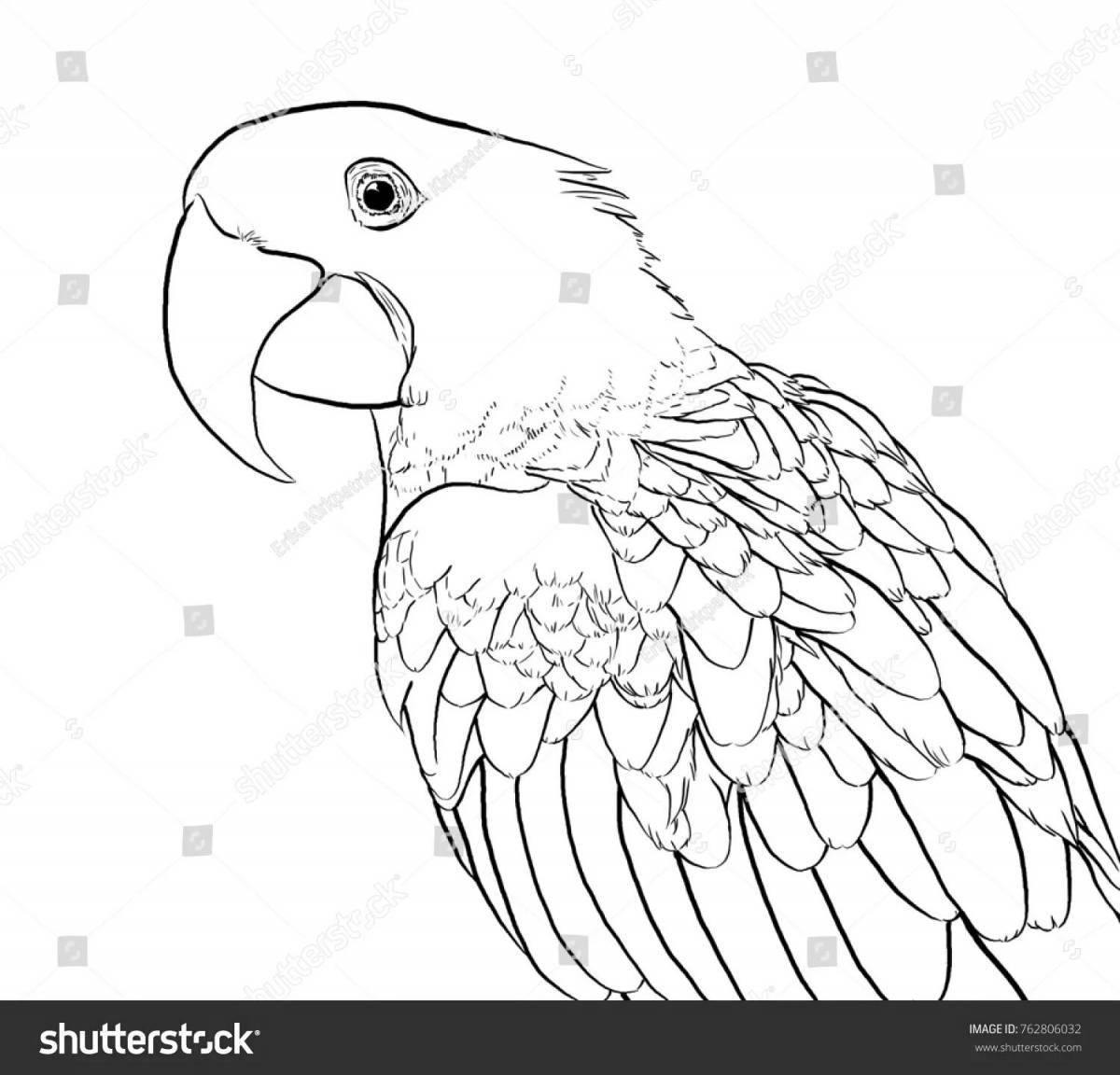Brilliantly detailed blue macaw coloring page