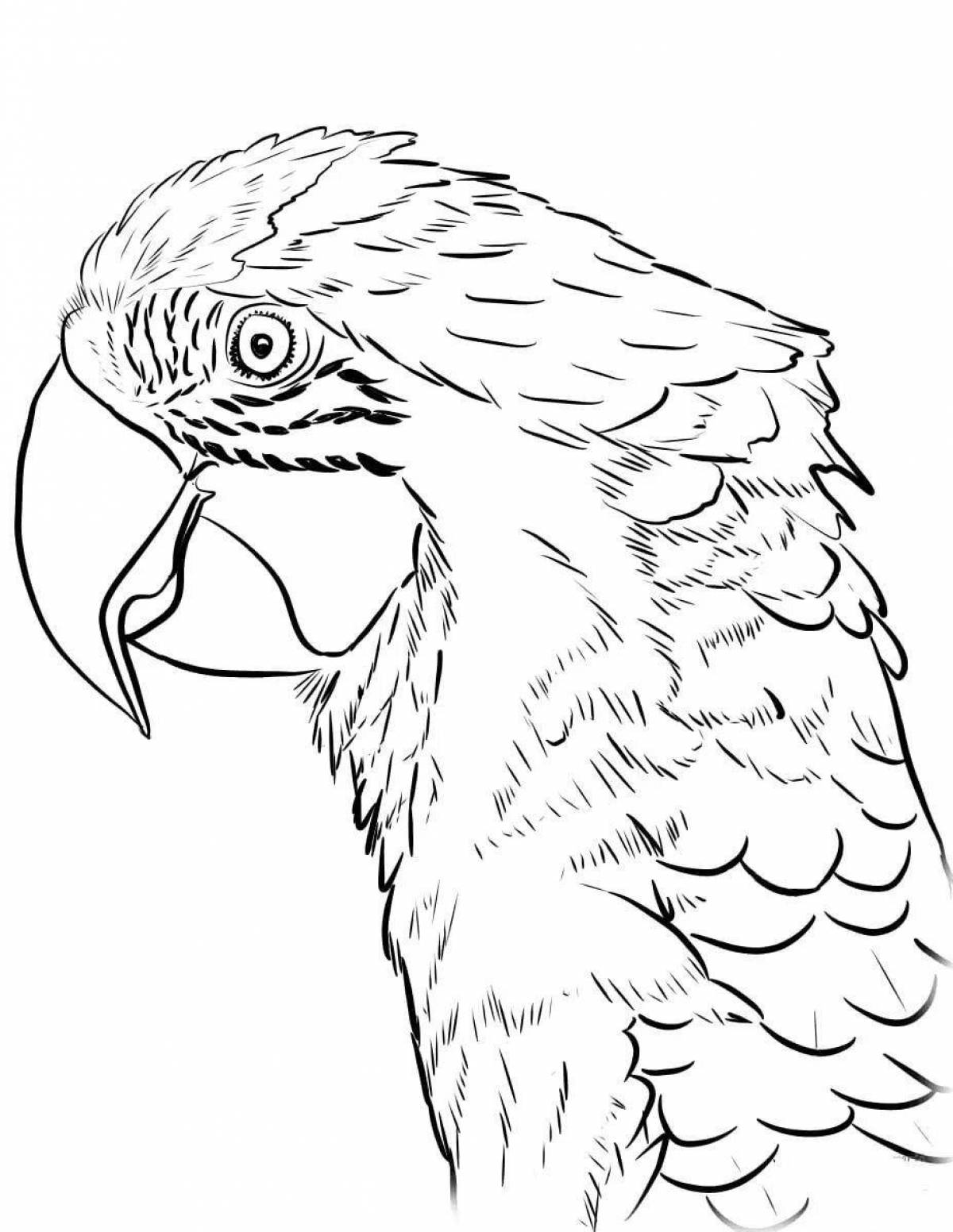 Brilliantly rendered blue macaw coloring page