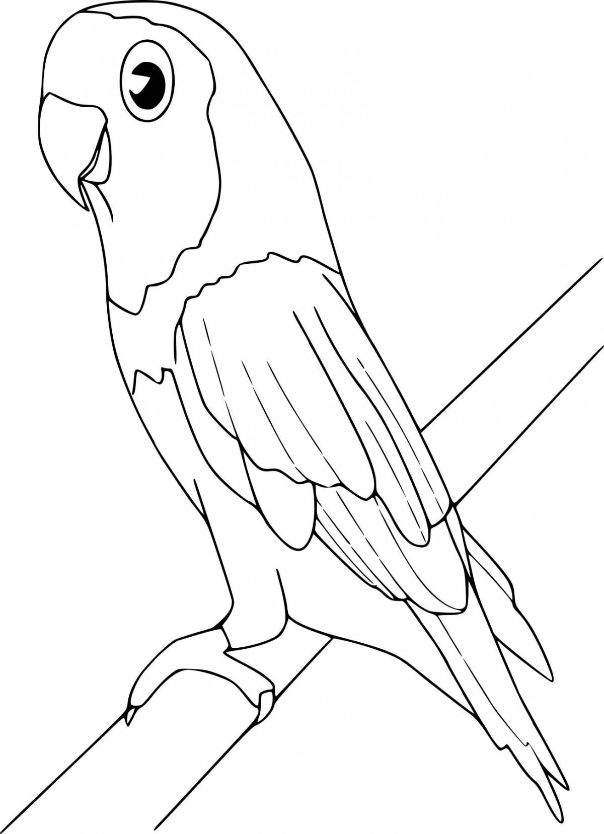 Brilliantly illustrated blue macaw coloring page