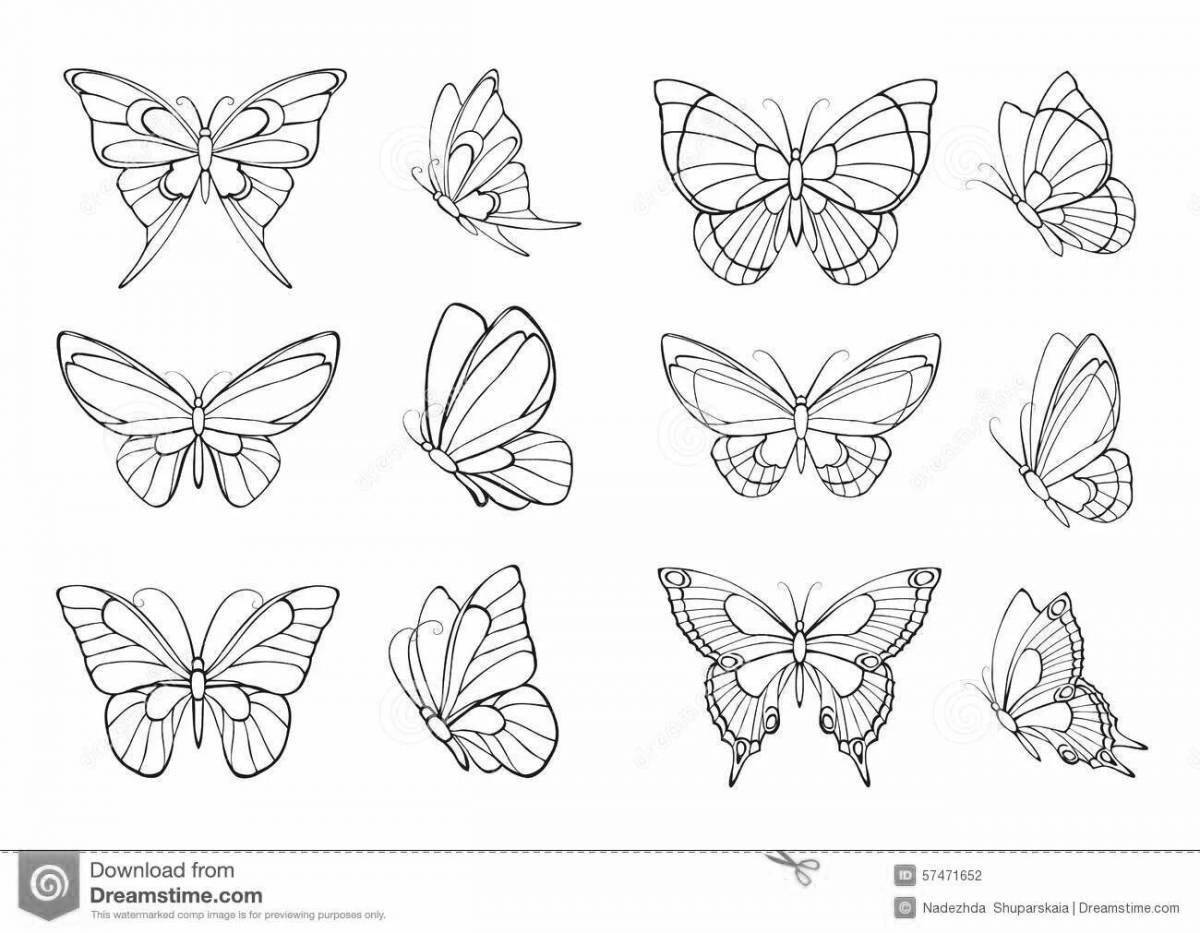 Бабочки для срисовки маленькие