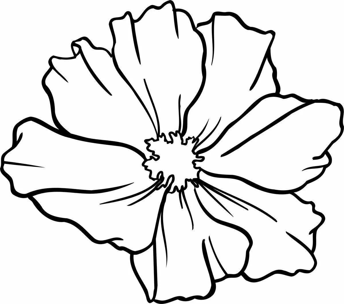 Bright flower coloring book