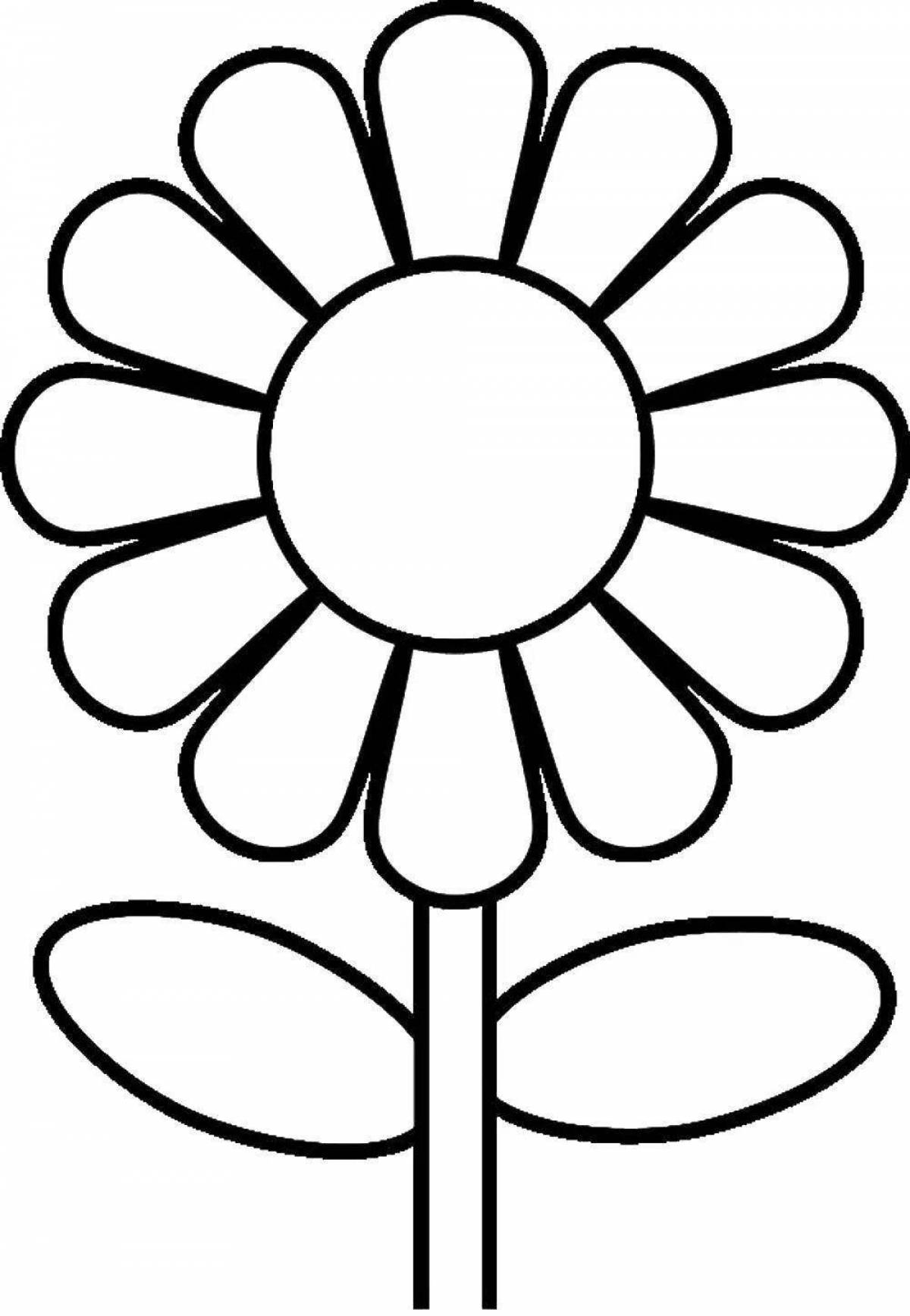 Large flower coloring book