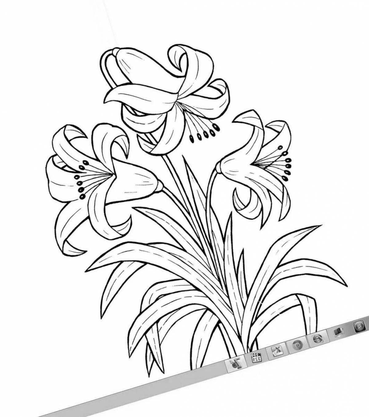 Serene coloring lily flowers
