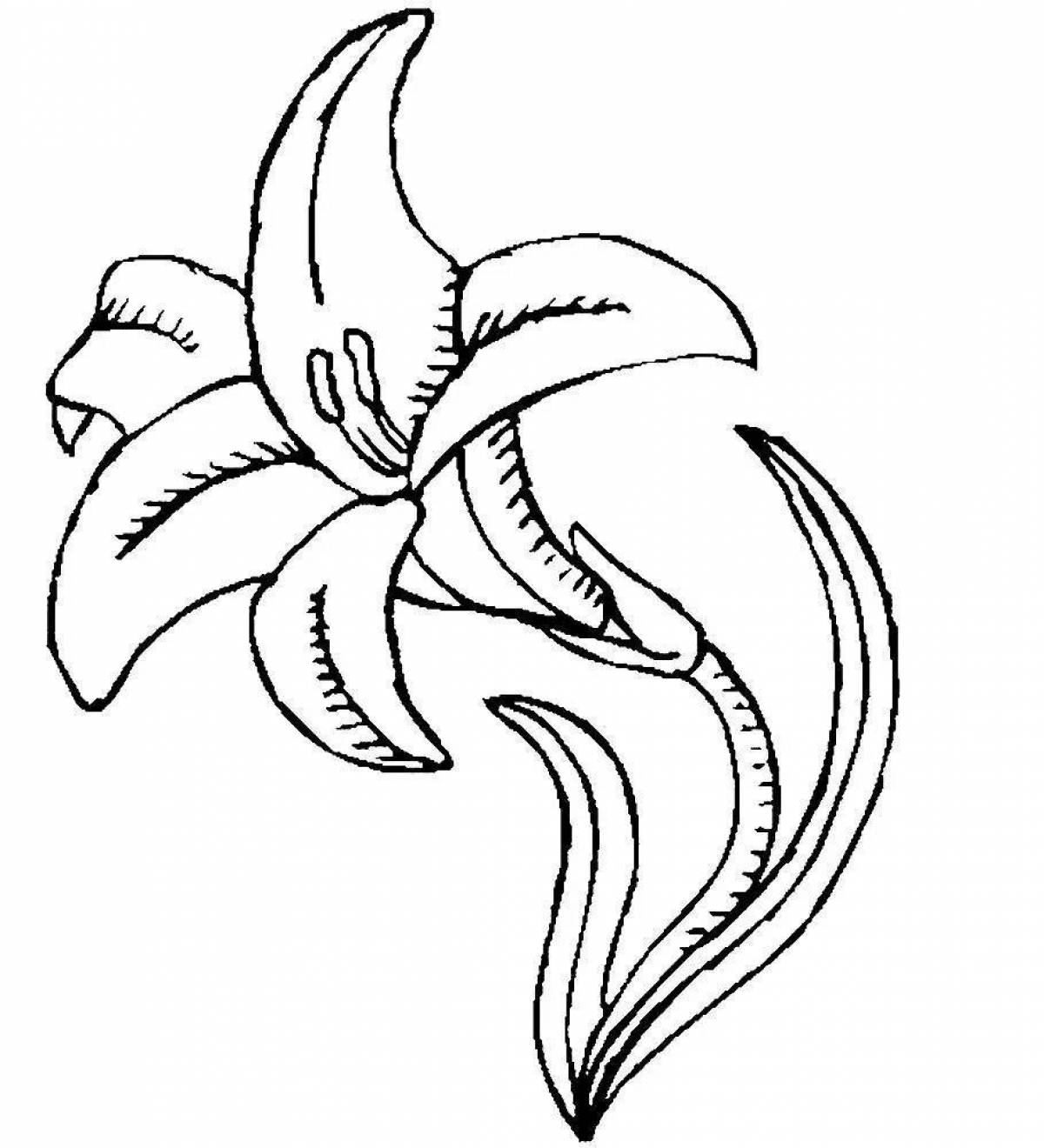 Ornate lily coloring page