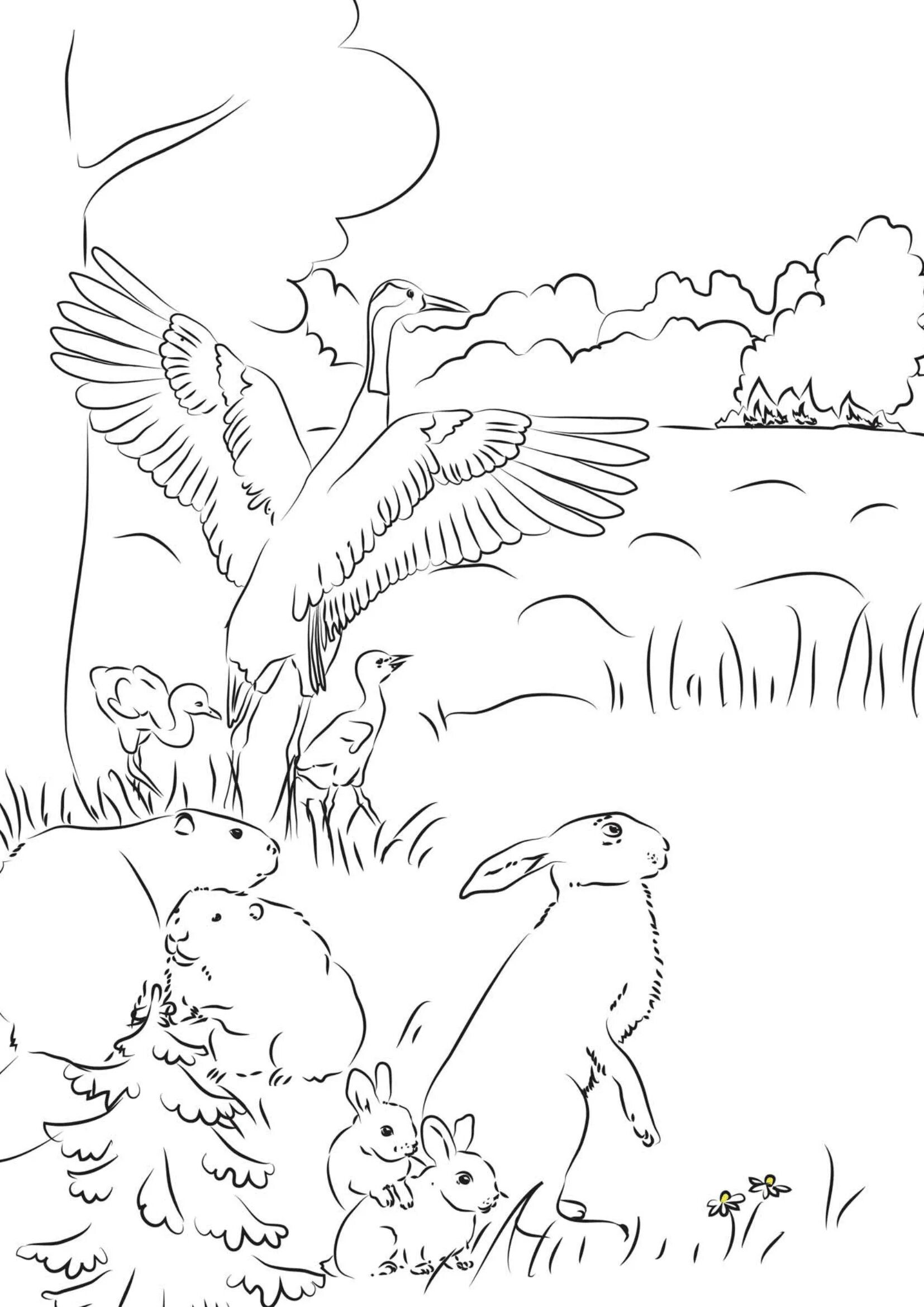 Forest fire coloring page