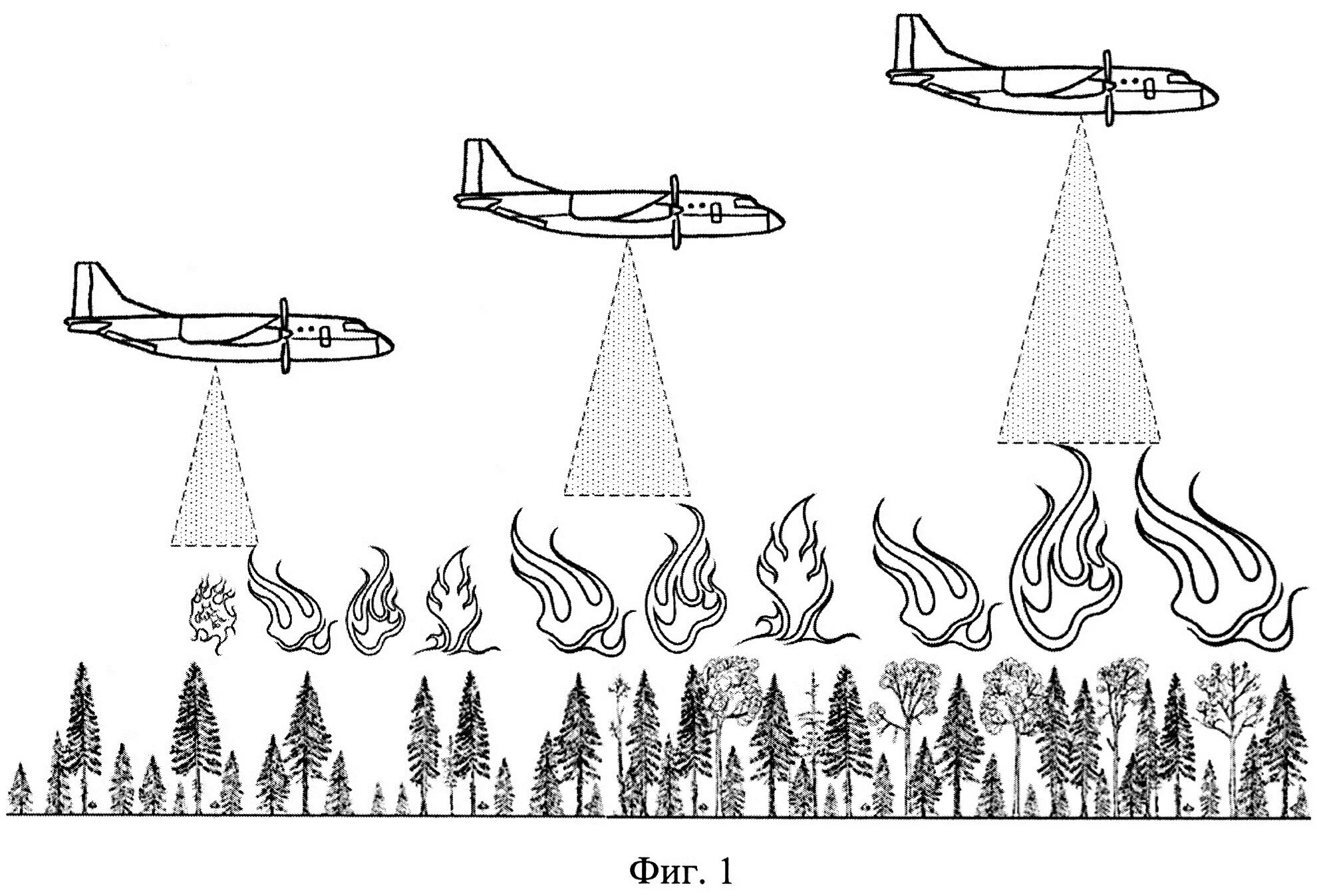 Forest fire #1