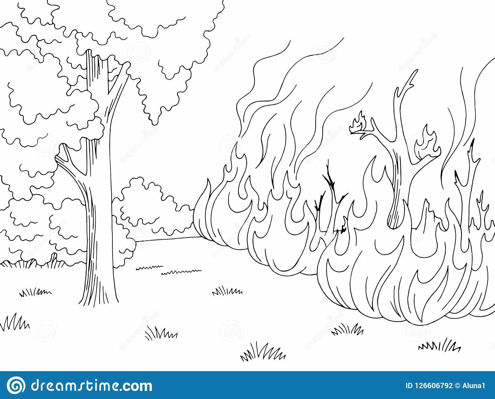 Пожар лесной #6