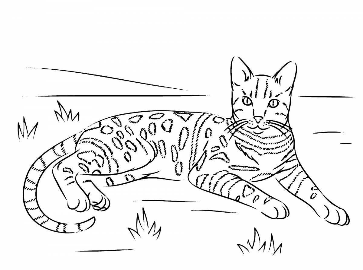 Big cat coloring page