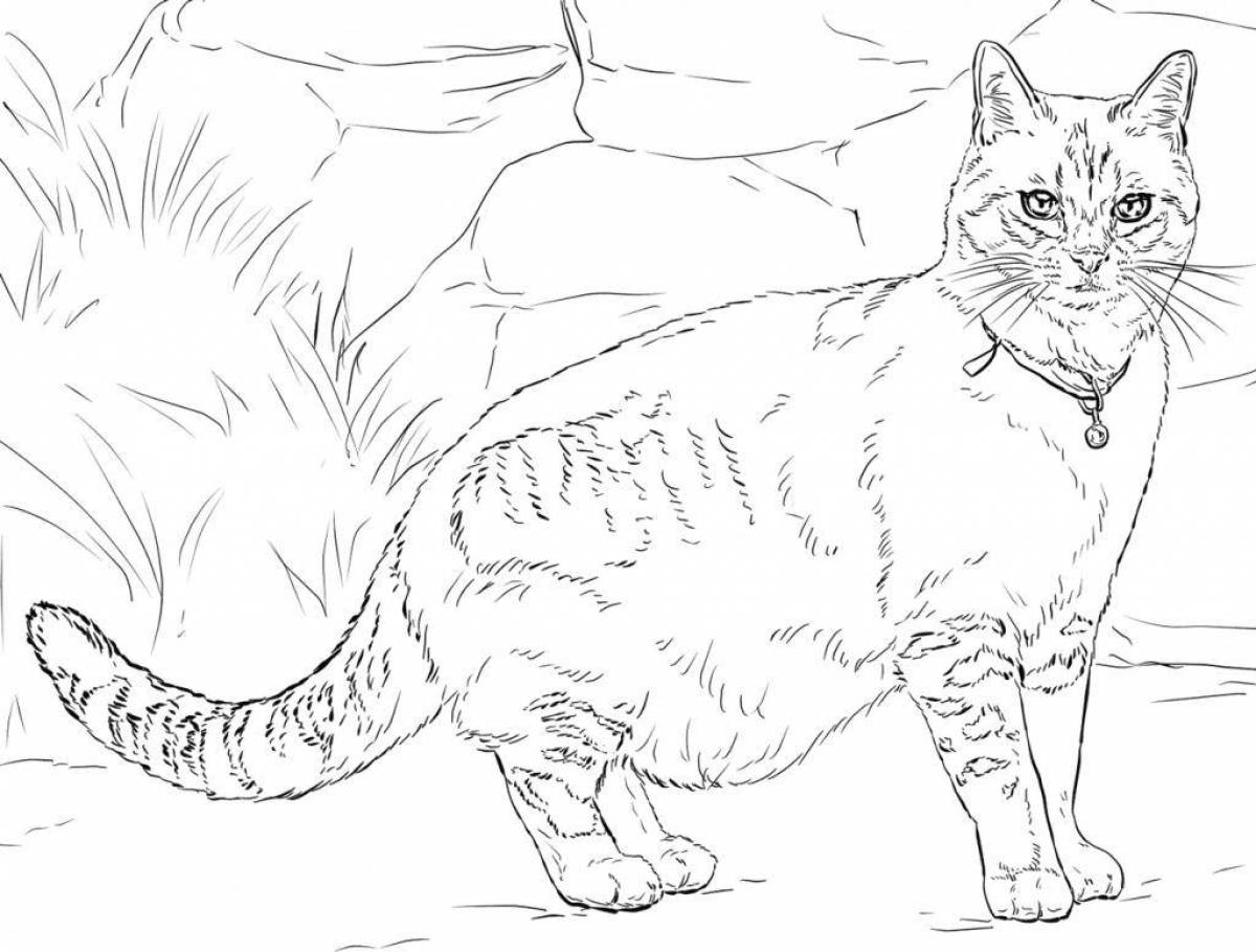 Раскраска экзотическая большая кошка