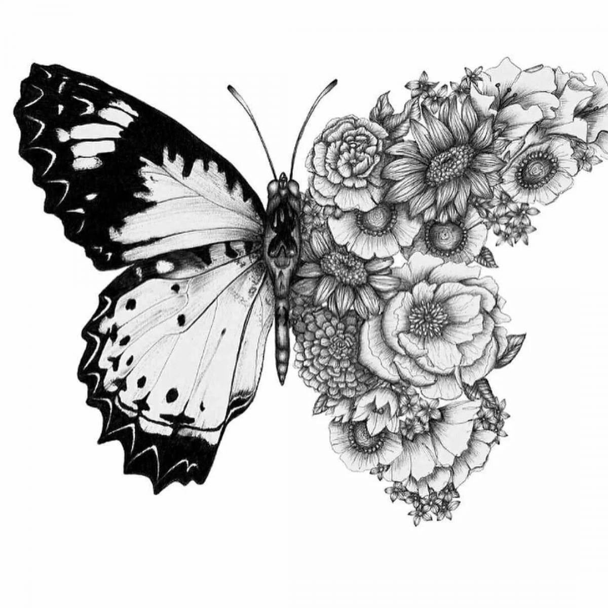 Изысканная раскраска бабочка эстетика