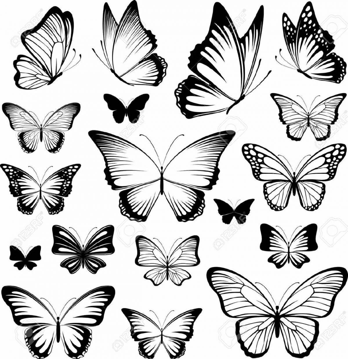 Tempting coloring butterfly aesthetics