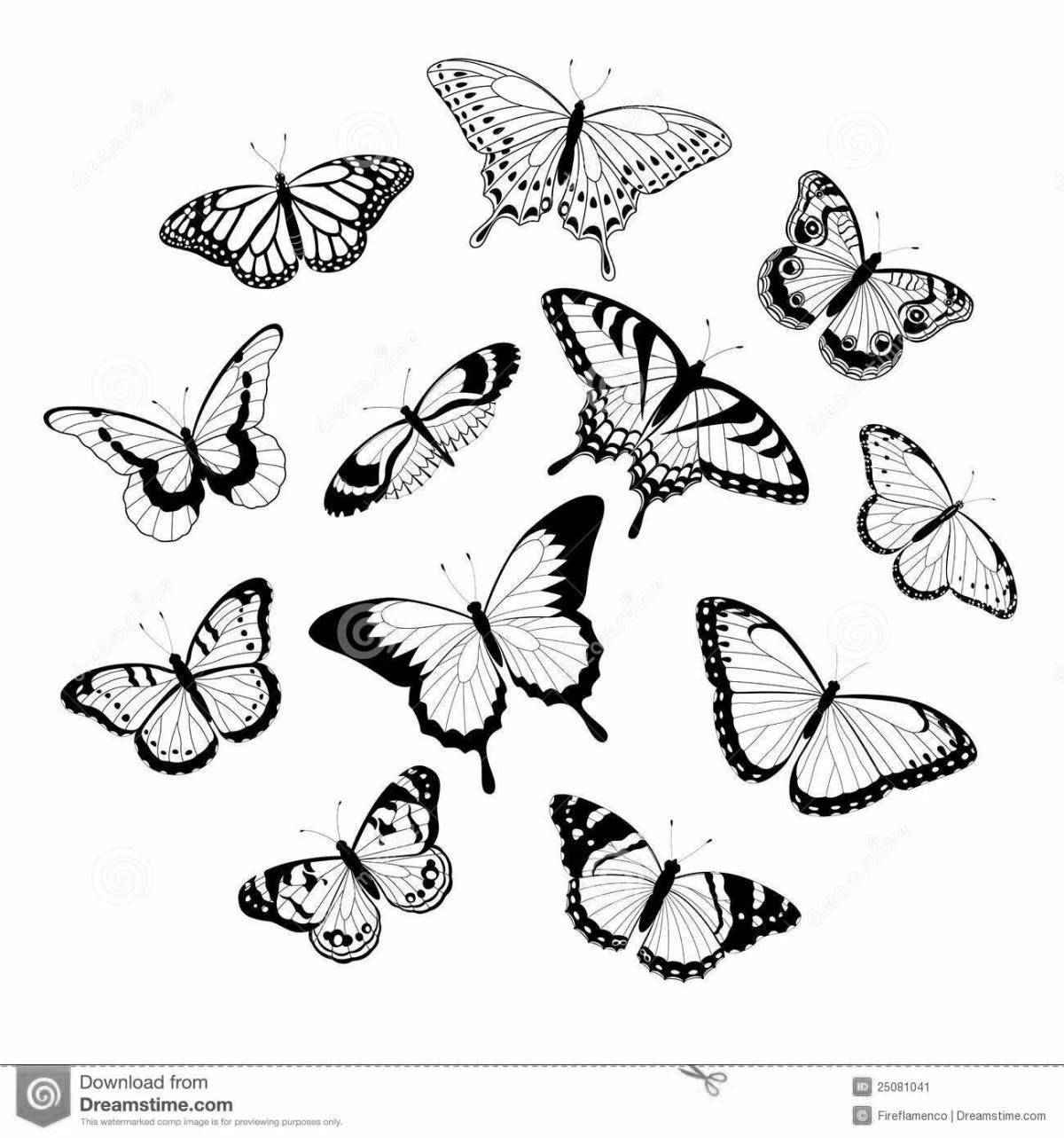 Beautiful coloring butterfly aesthetics