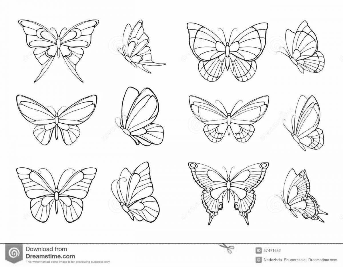 Яркая раскраска бабочка эстетика