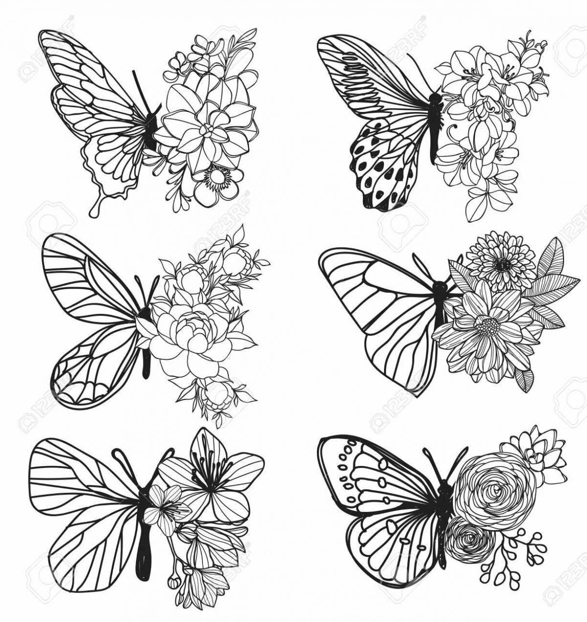 Blissful coloring butterfly aesthetics