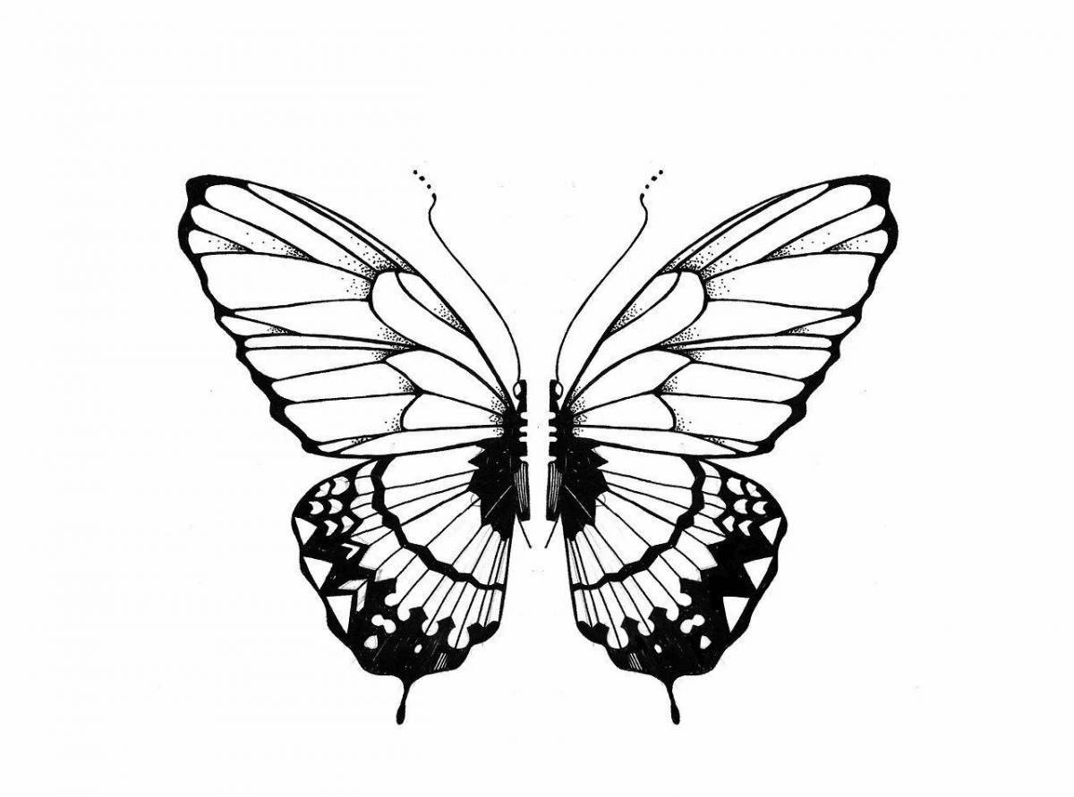 Безупречная раскраска бабочка эстетика