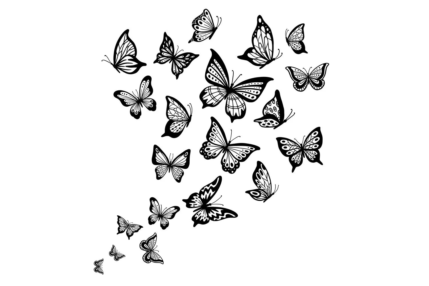 Butterfly aesthetics #2