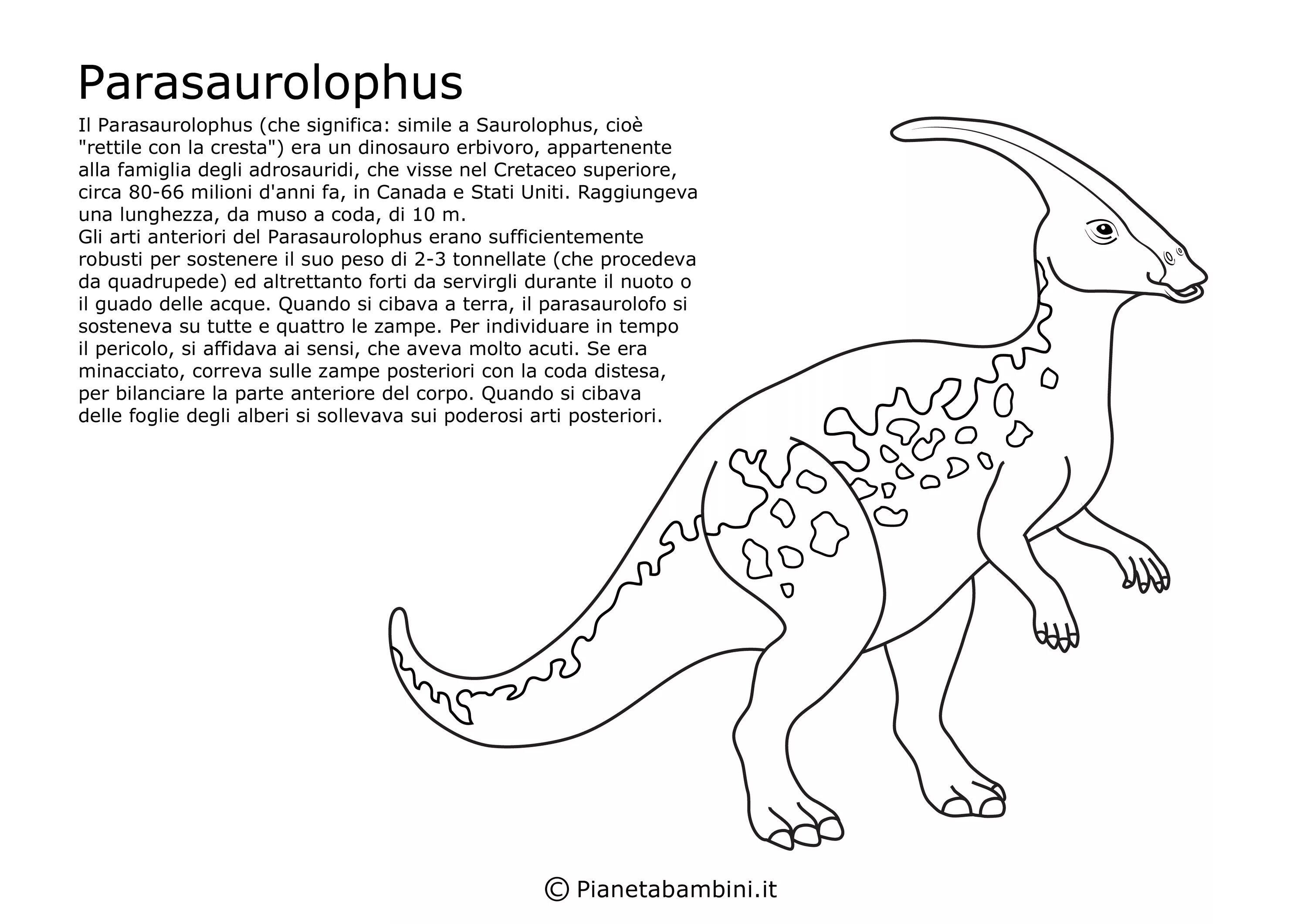 Dinosaur Parasaurolophus #13