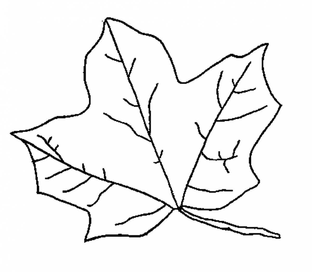 Glossy coloring maple leaf