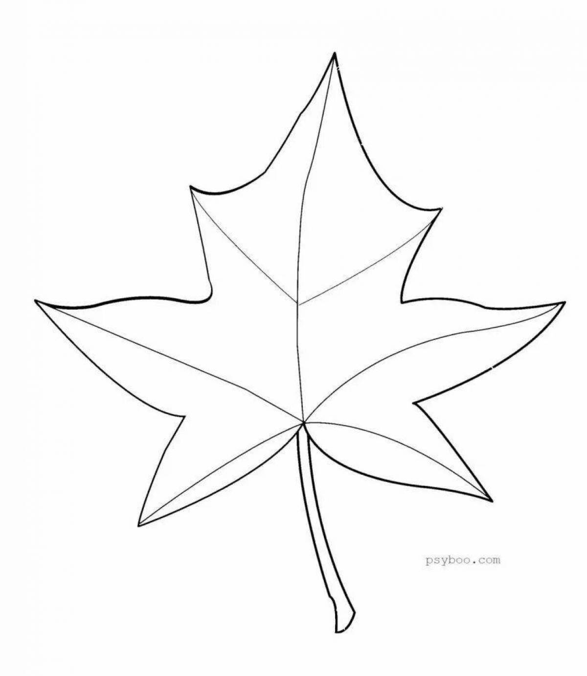 Luminous maple leaf coloring book